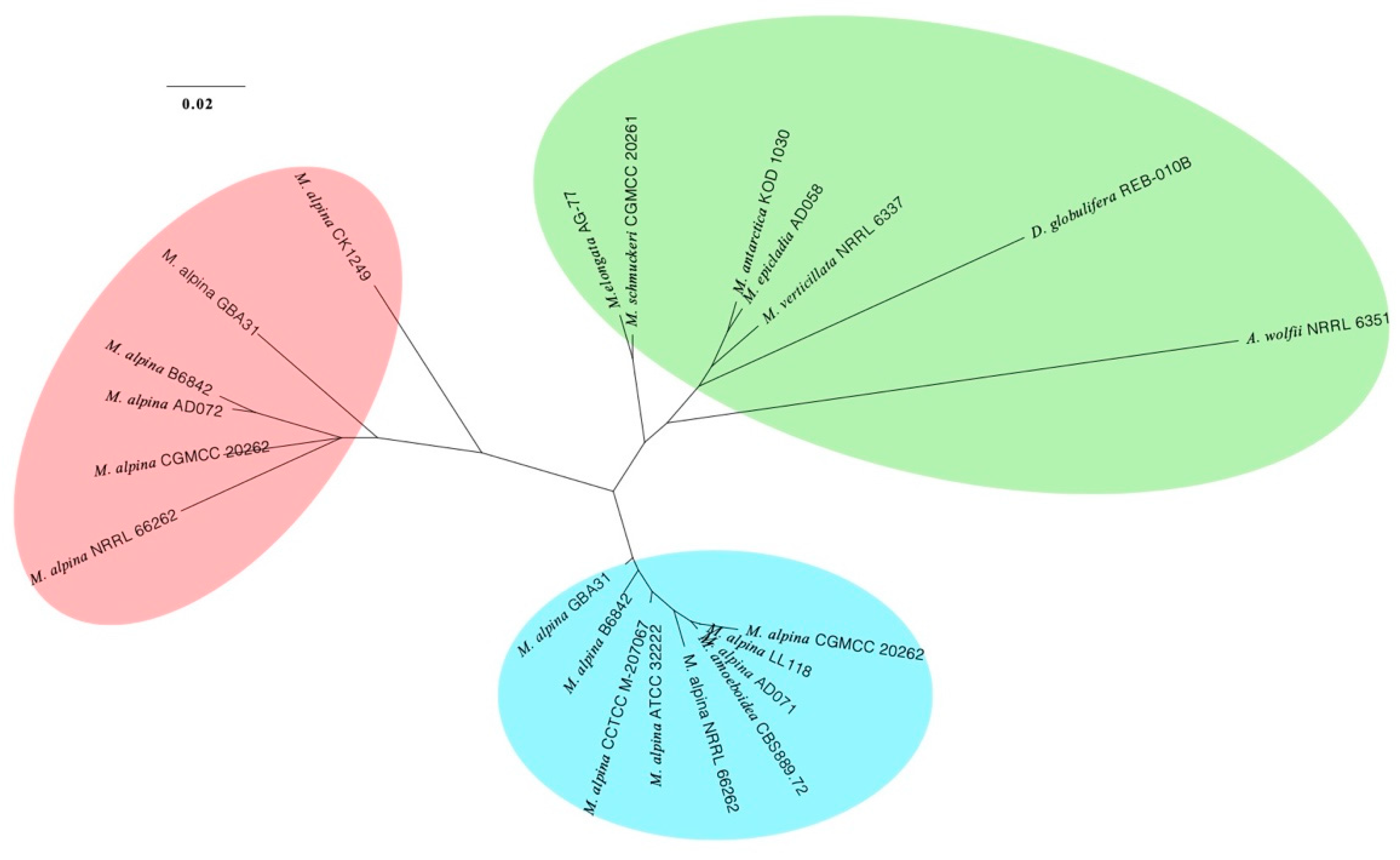 Jof 08 00891 g006 550