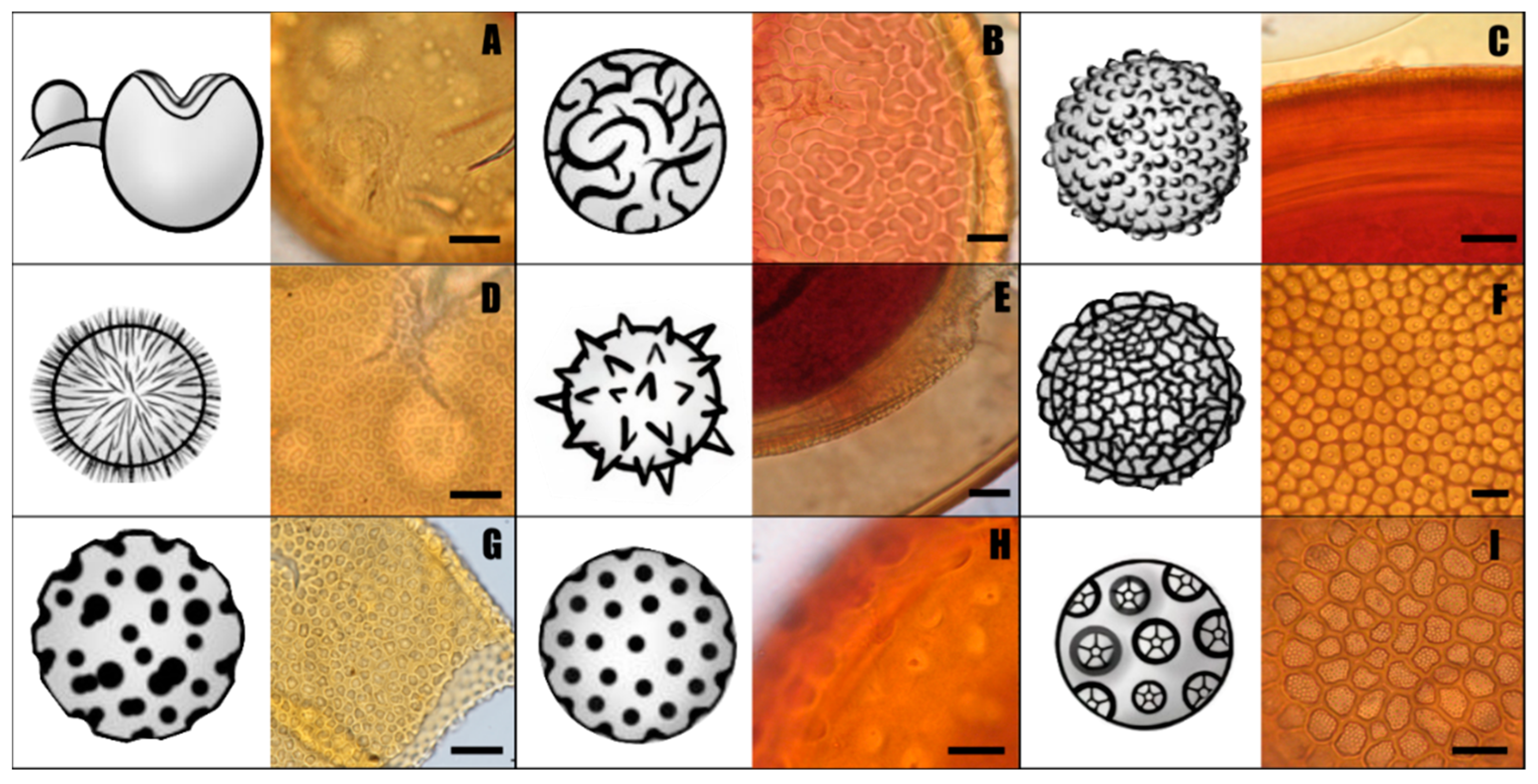 Jof 08 00892 g001 Jof 08 00892 g001
