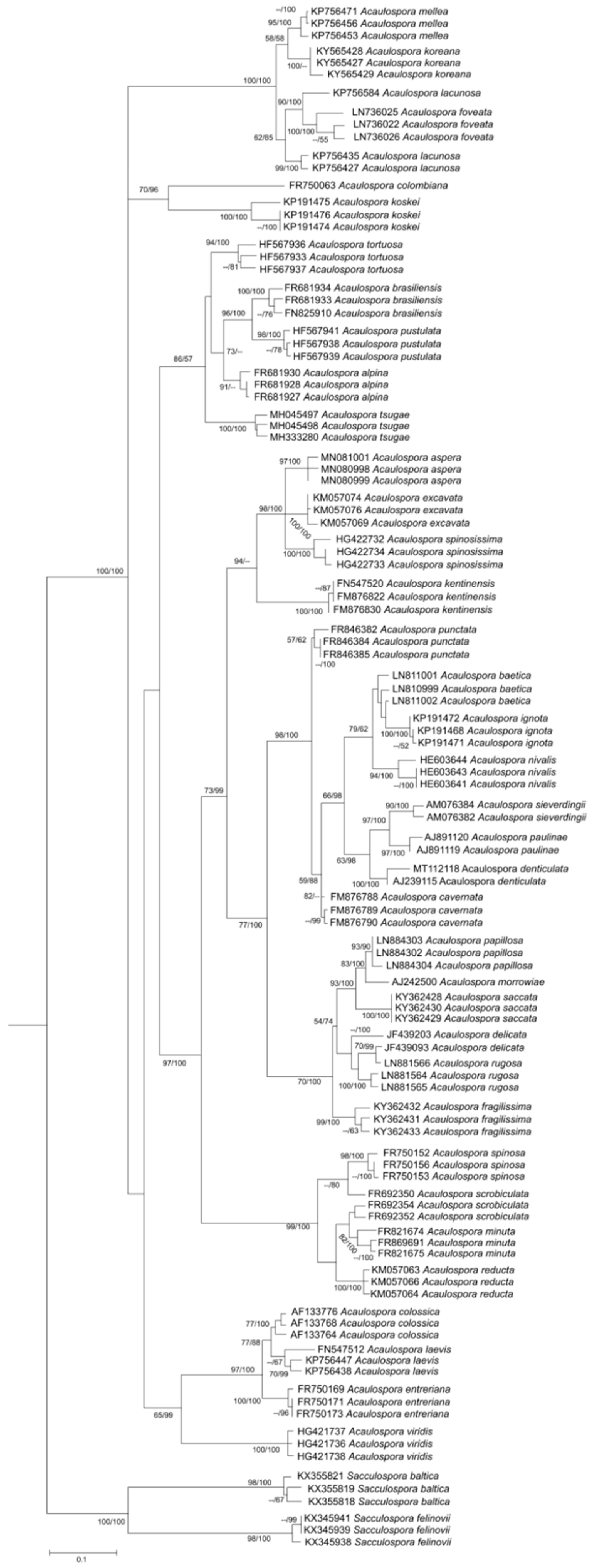 Jof 08 00892 g004 Jof 08 00892 g004