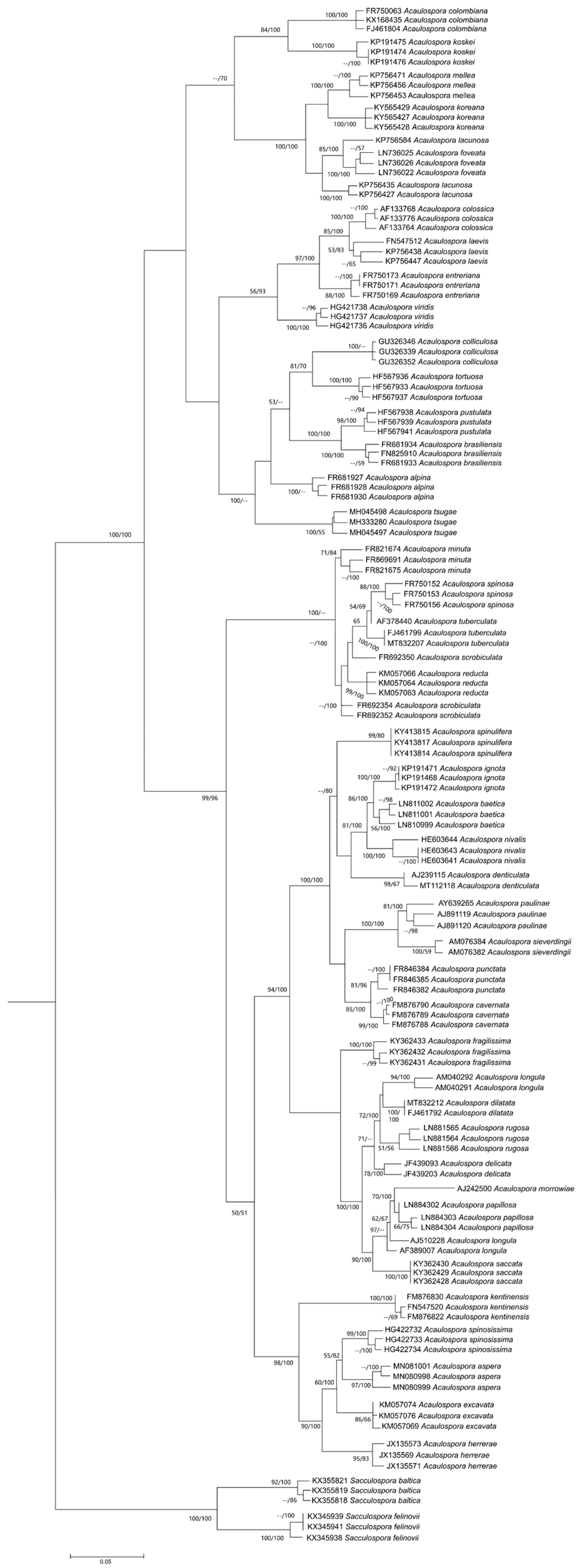 Jof 08 00892 g005 Jof 08 00892 g005