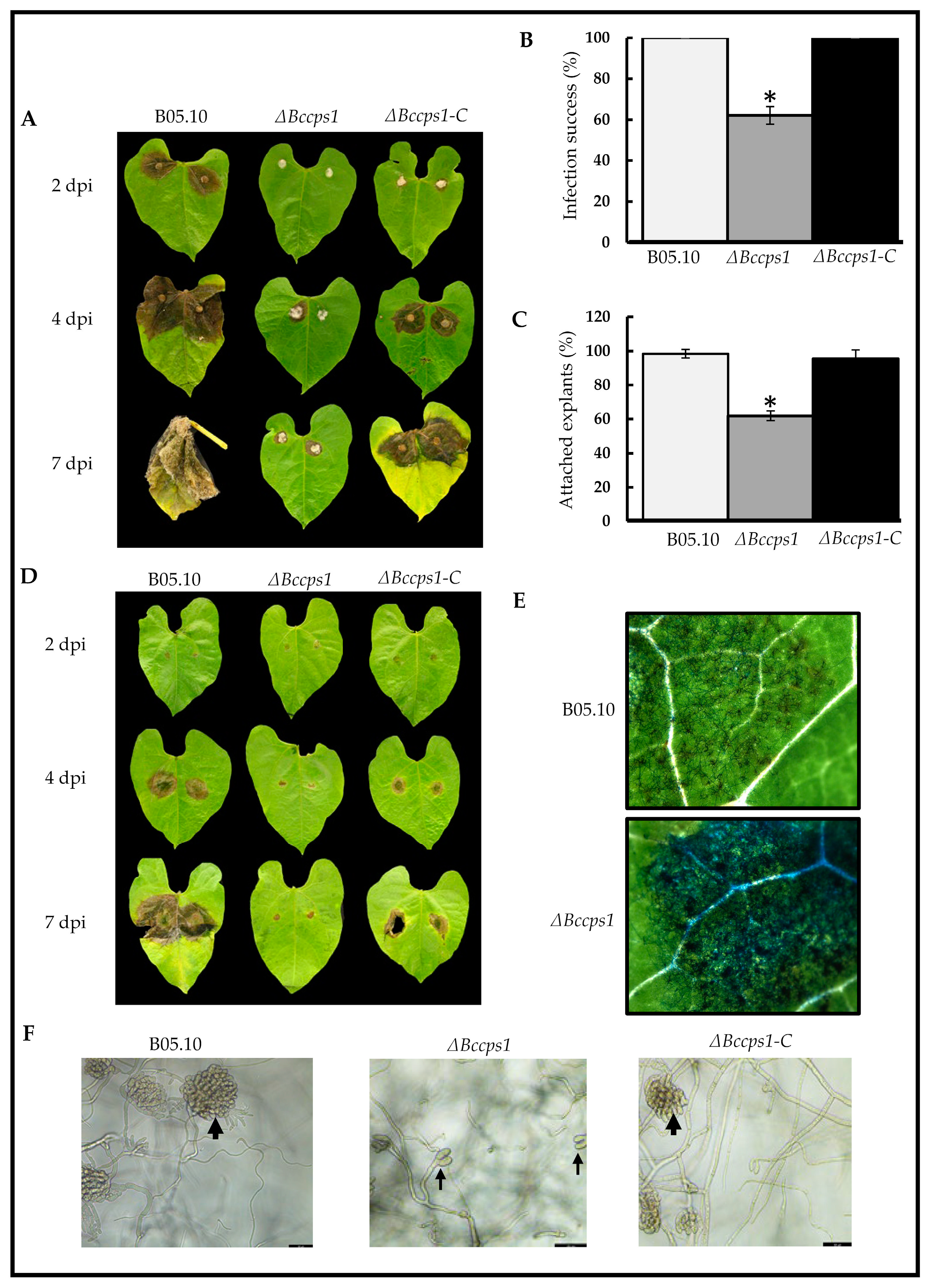 Jof 08 00899 g007 Jof 08 00899 g007