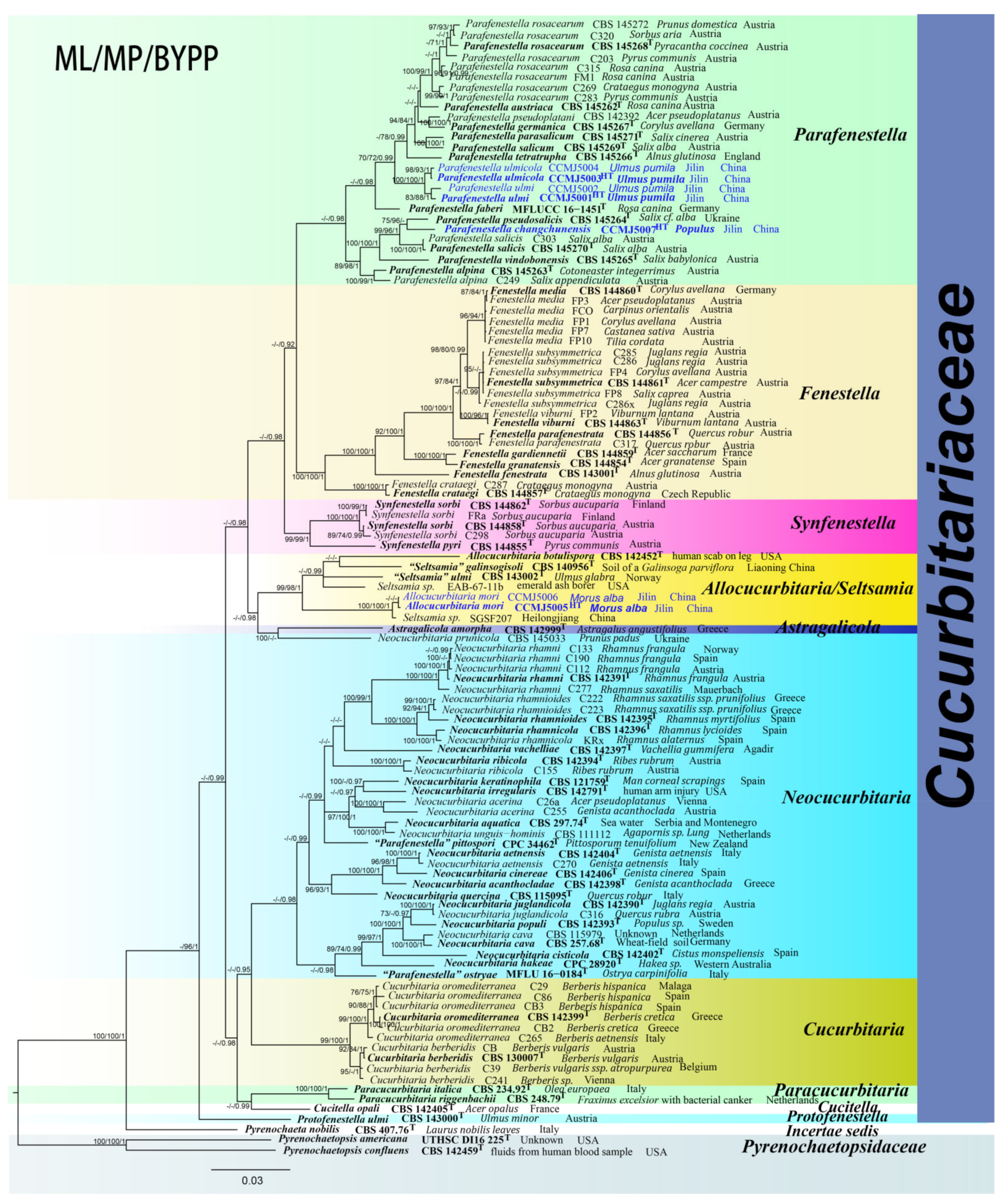 Jof 08 00905 g001 550