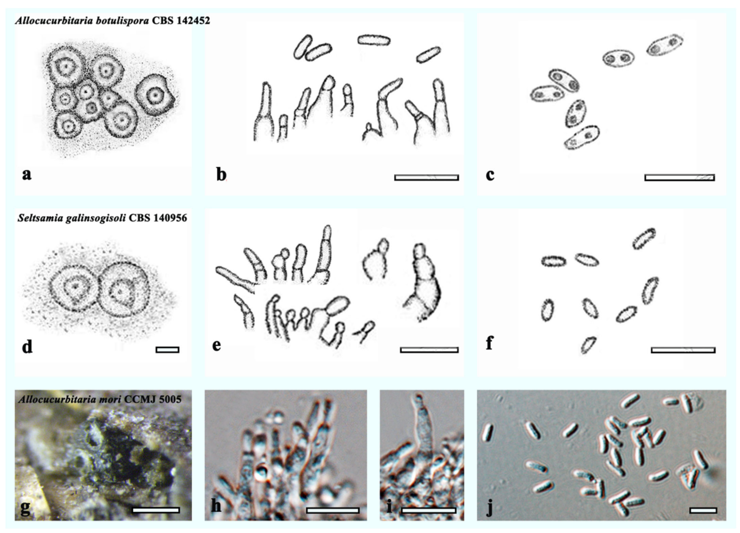 Jof 08 00905 g004 550