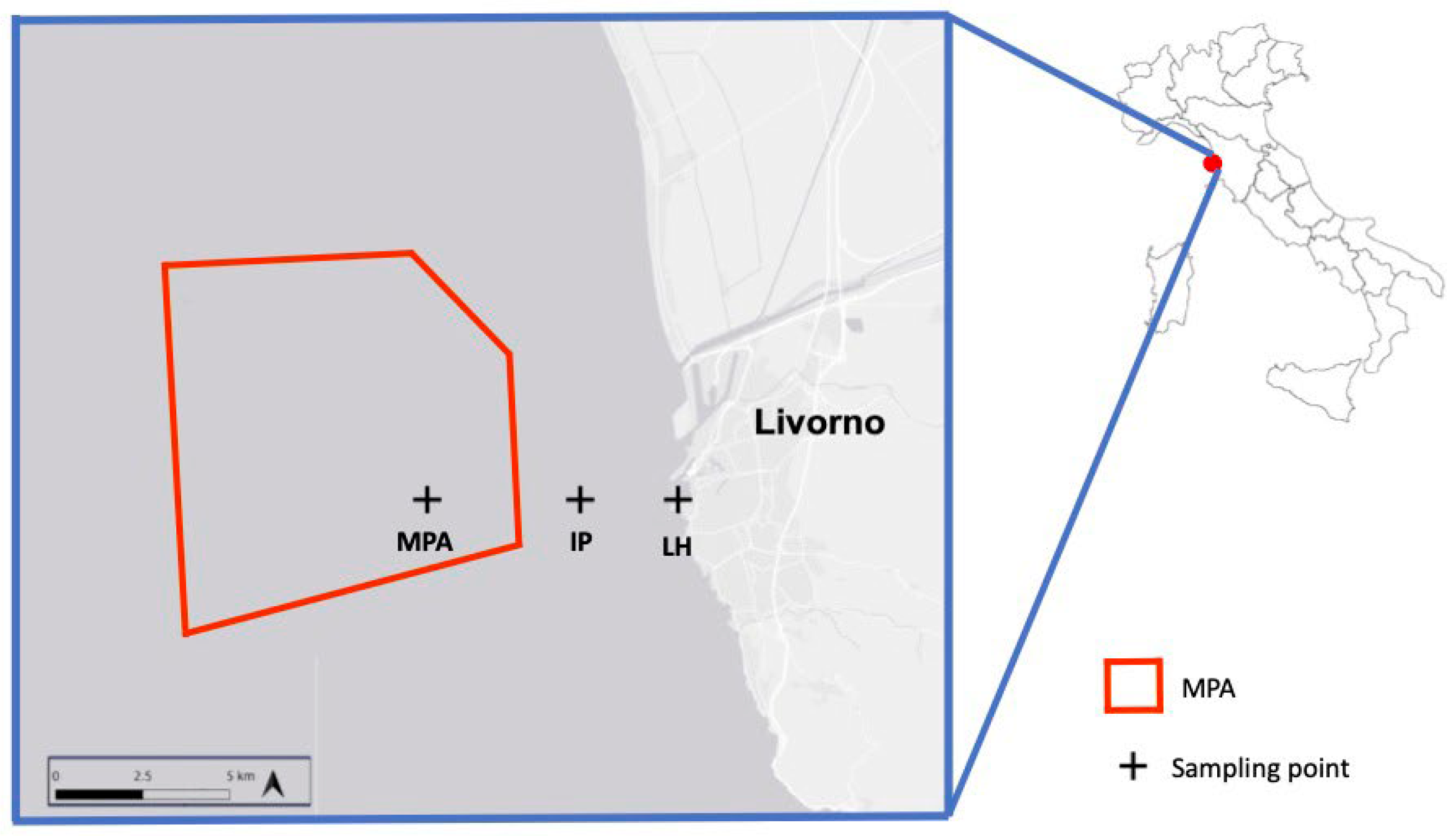 Jof 08 00927 g001 550