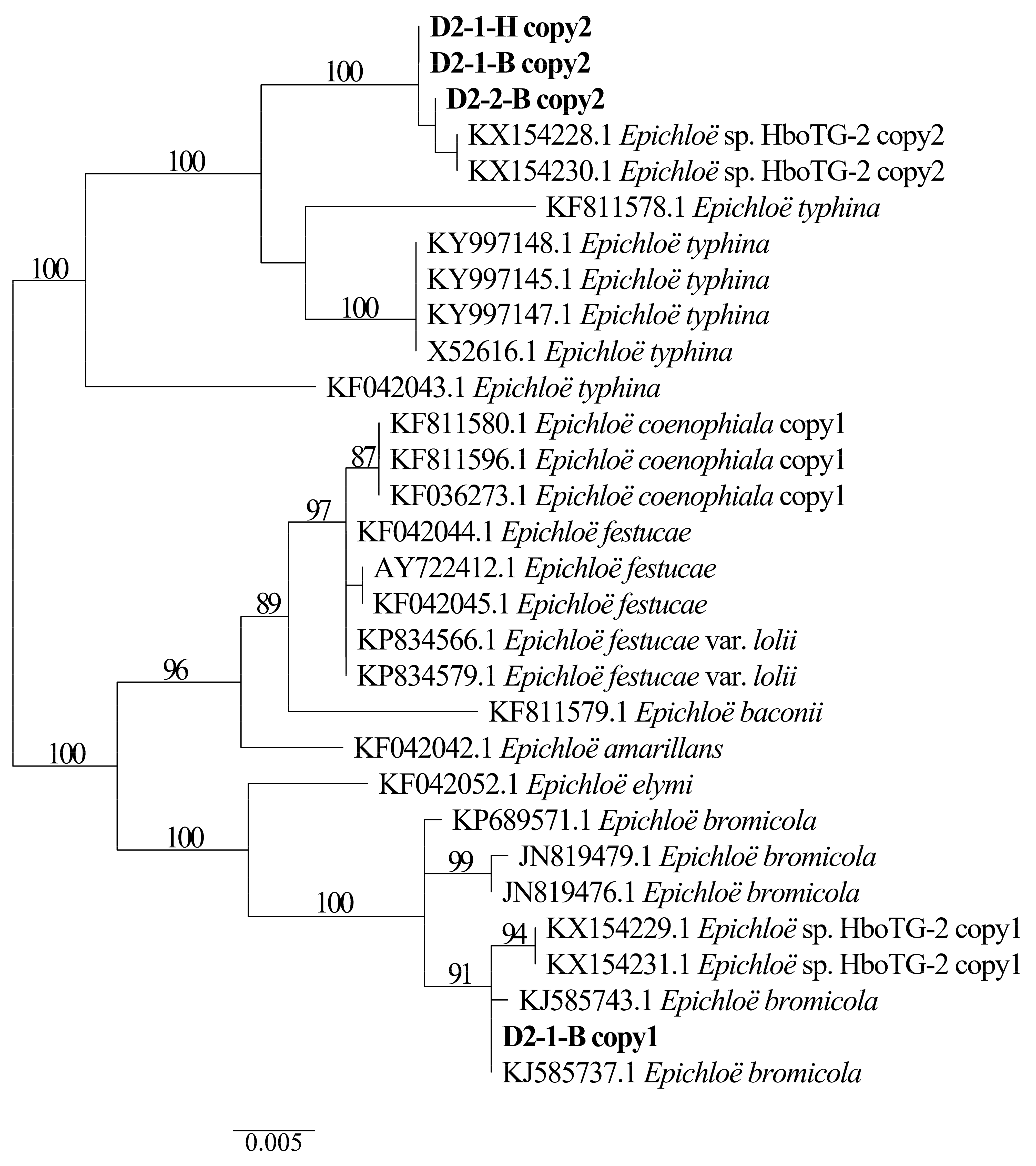 Jof 08 00928 g003 Jof 08 00928 g003
