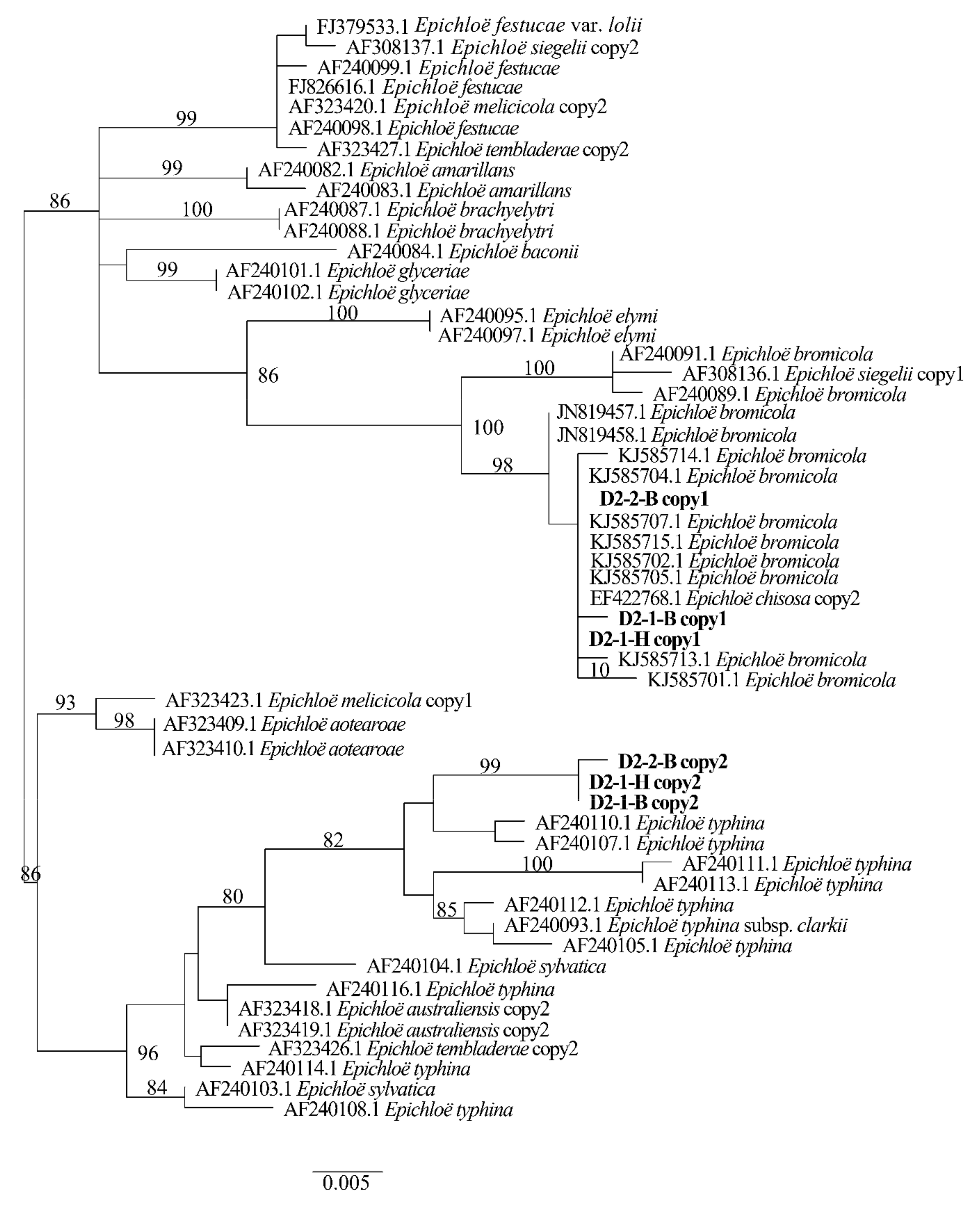 Jof 08 00928 g004 Jof 08 00928 g004