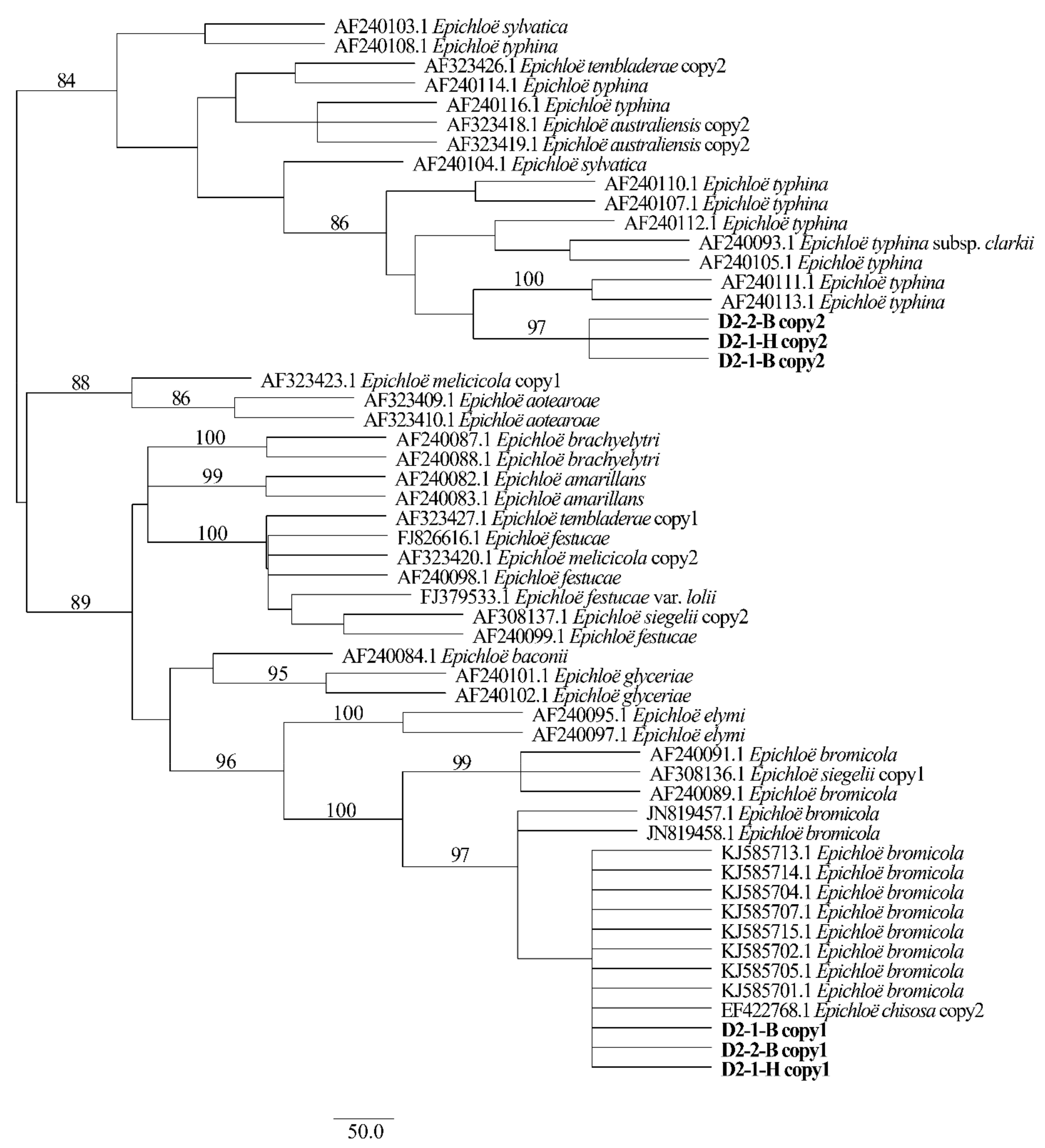 Jof 08 00928 g007 Jof 08 00928 g007