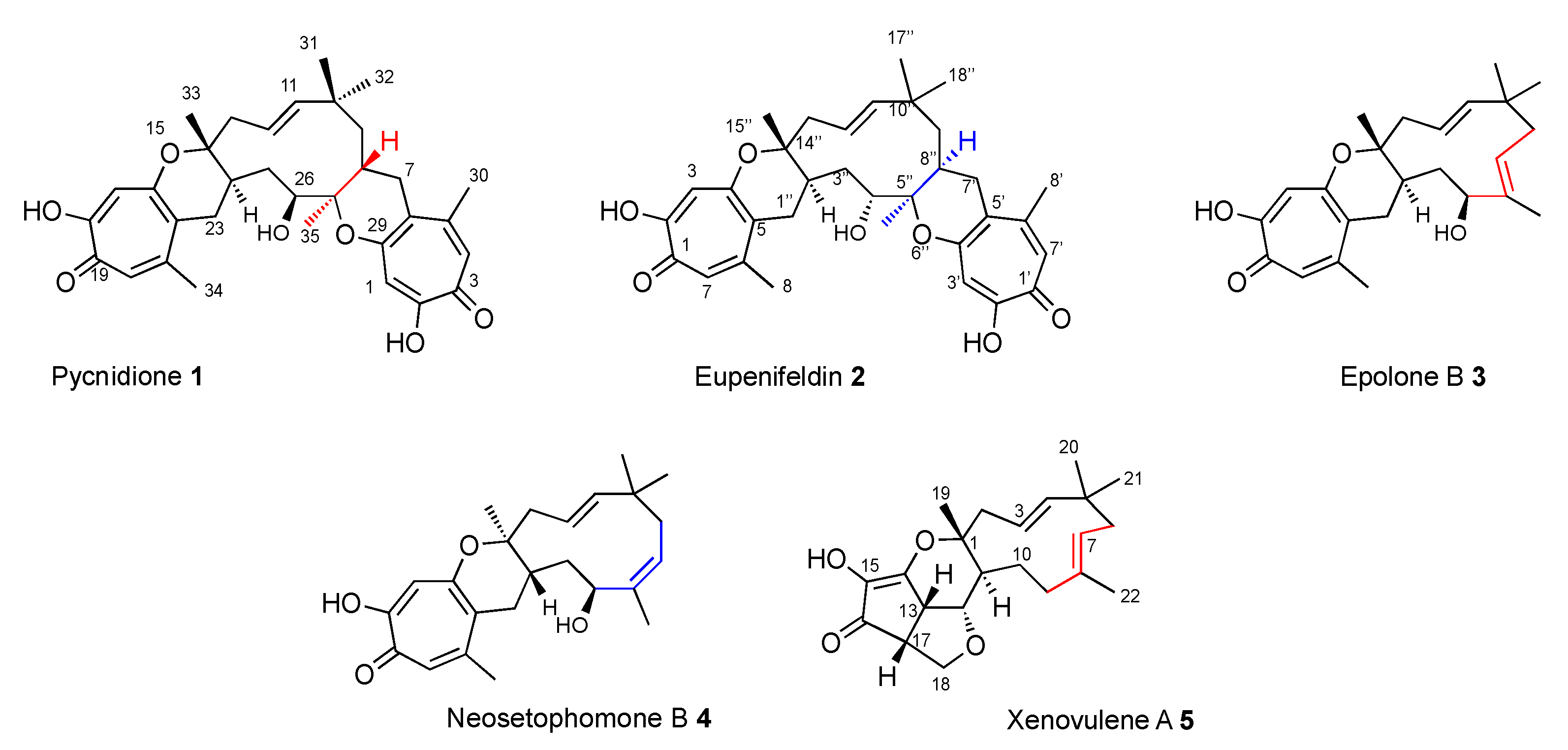 Jof 08 00929 g001 550