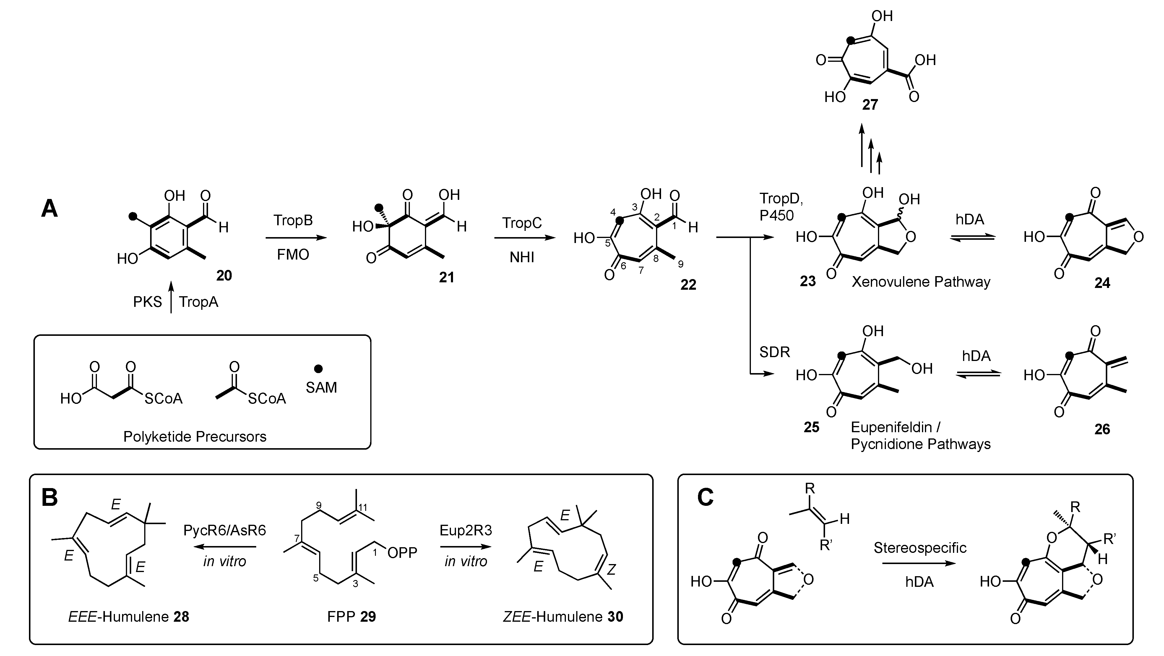 Jof 08 00929 sch001 550