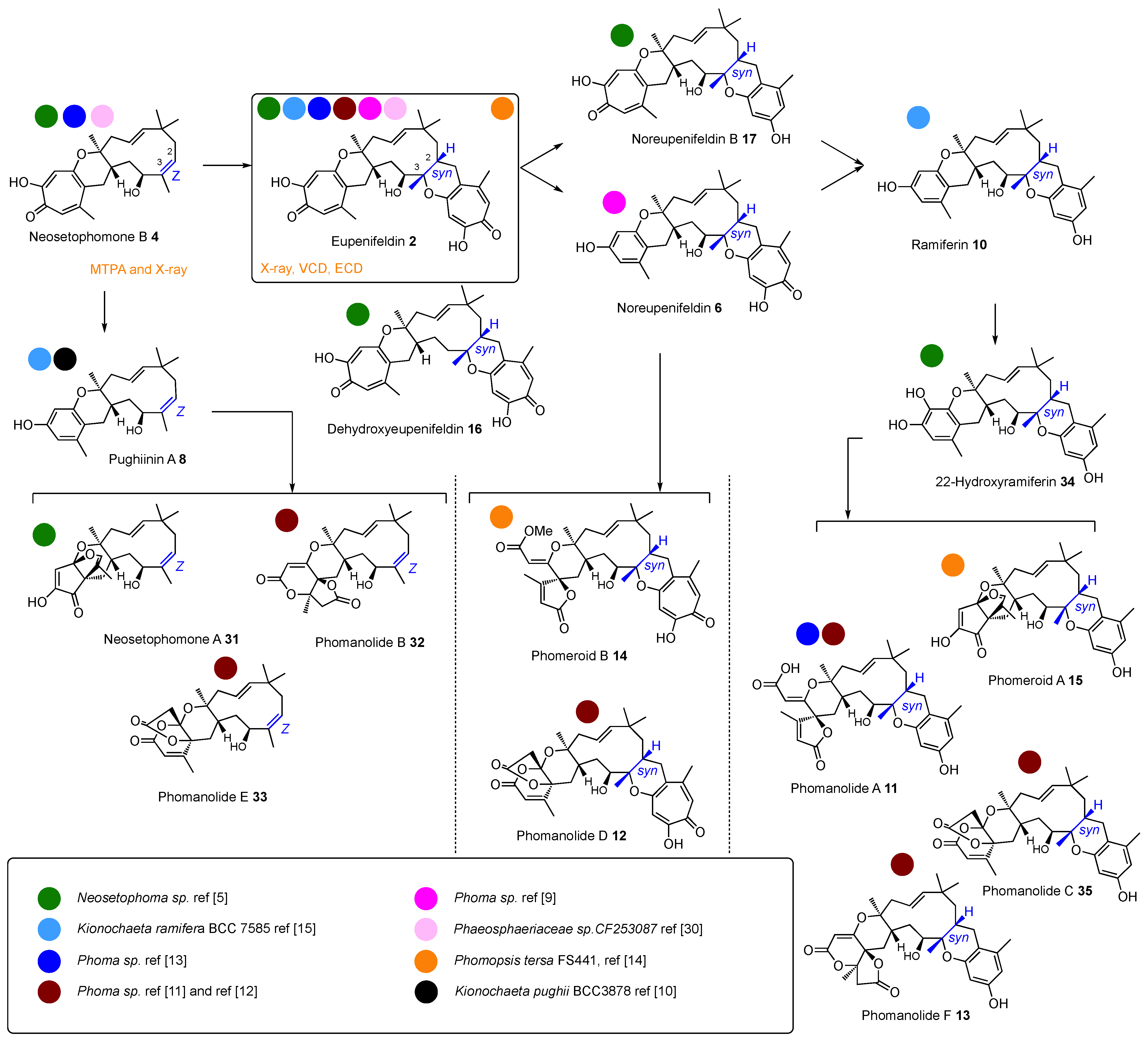 Jof 08 00929 sch002 550