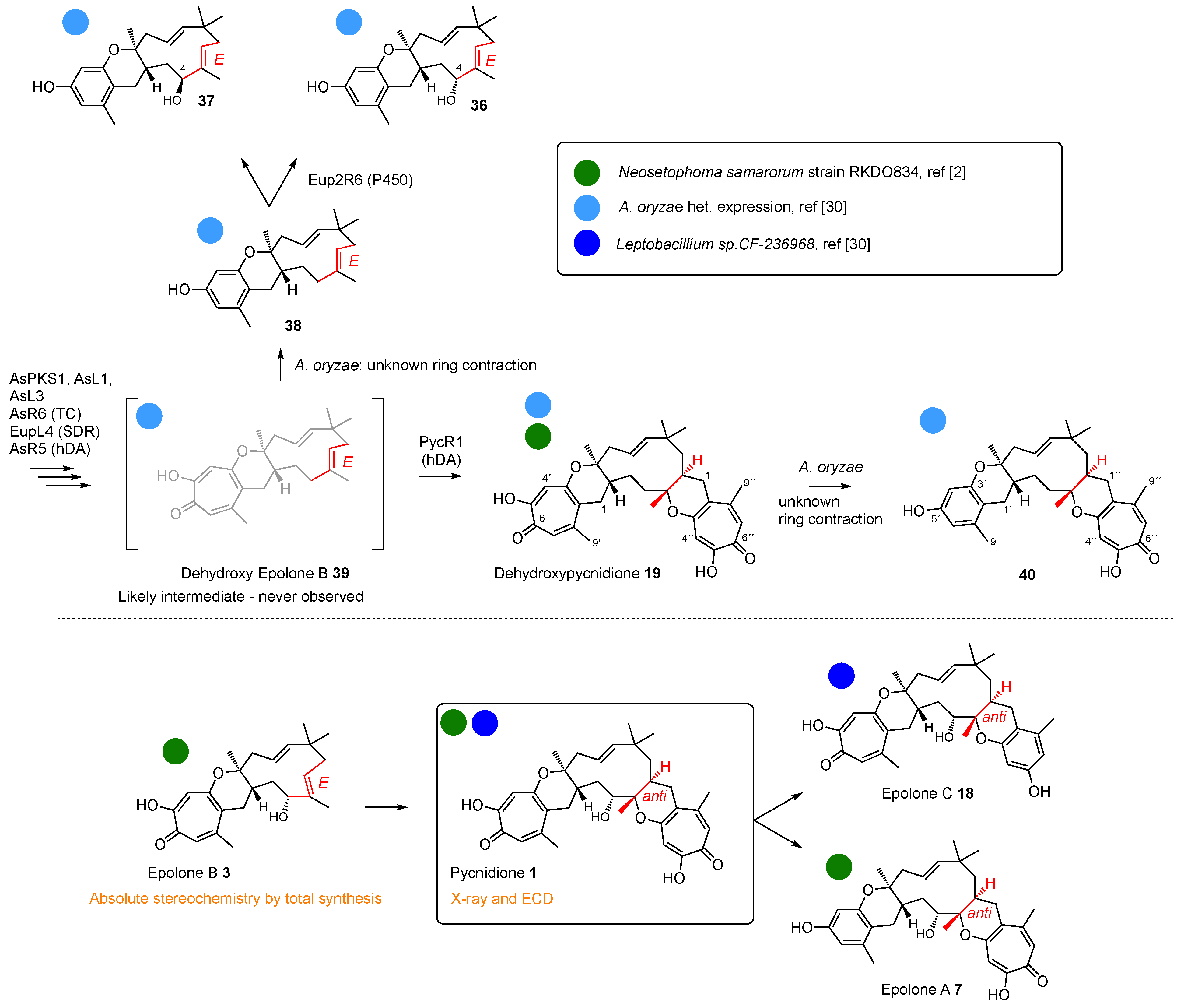 Jof 08 00929 sch003 550