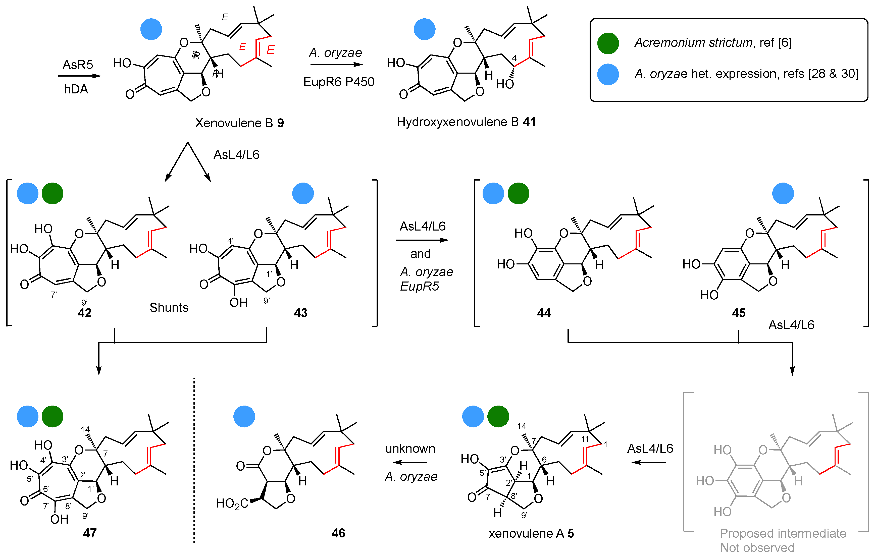 Jof 08 00929 sch004 550