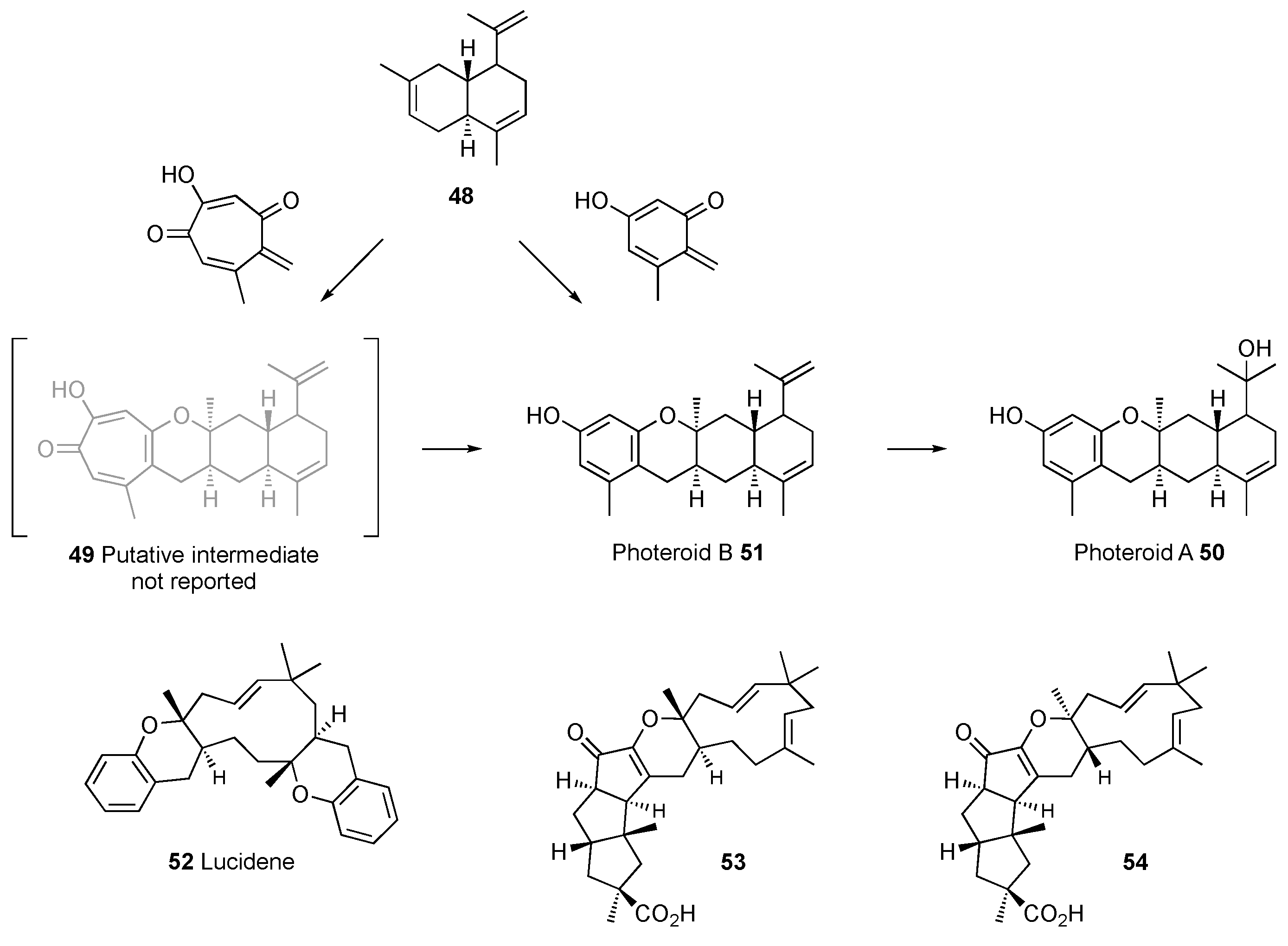 Jof 08 00929 sch005 550