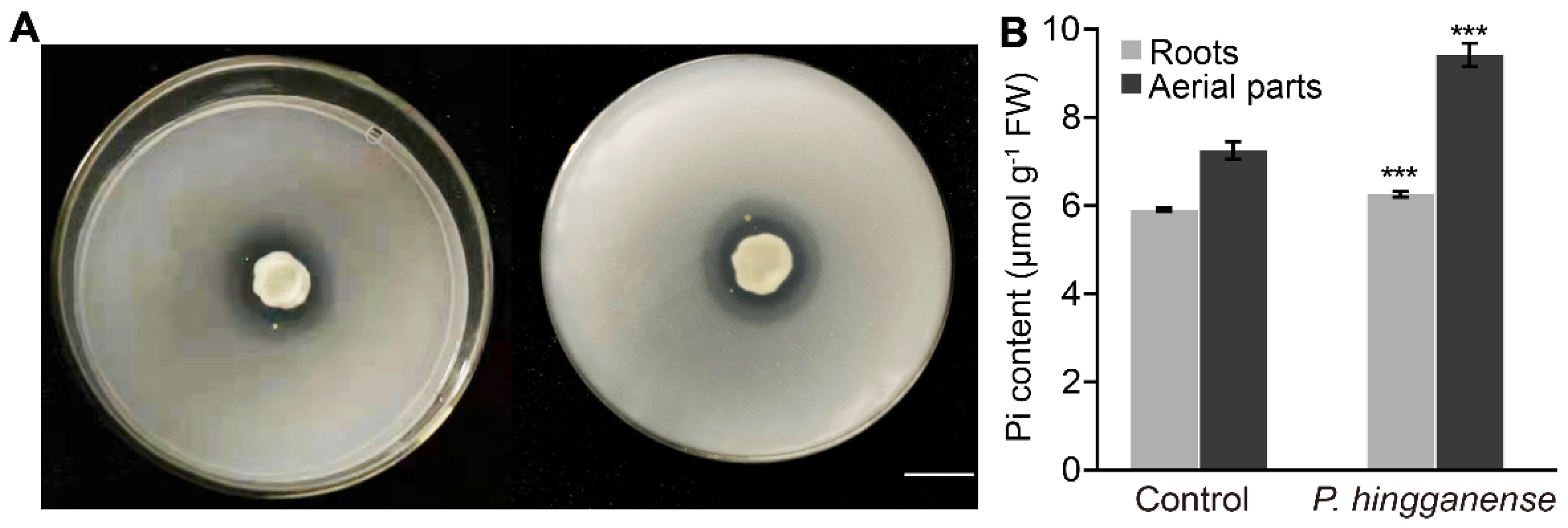 Jof 08 00934 g001 550