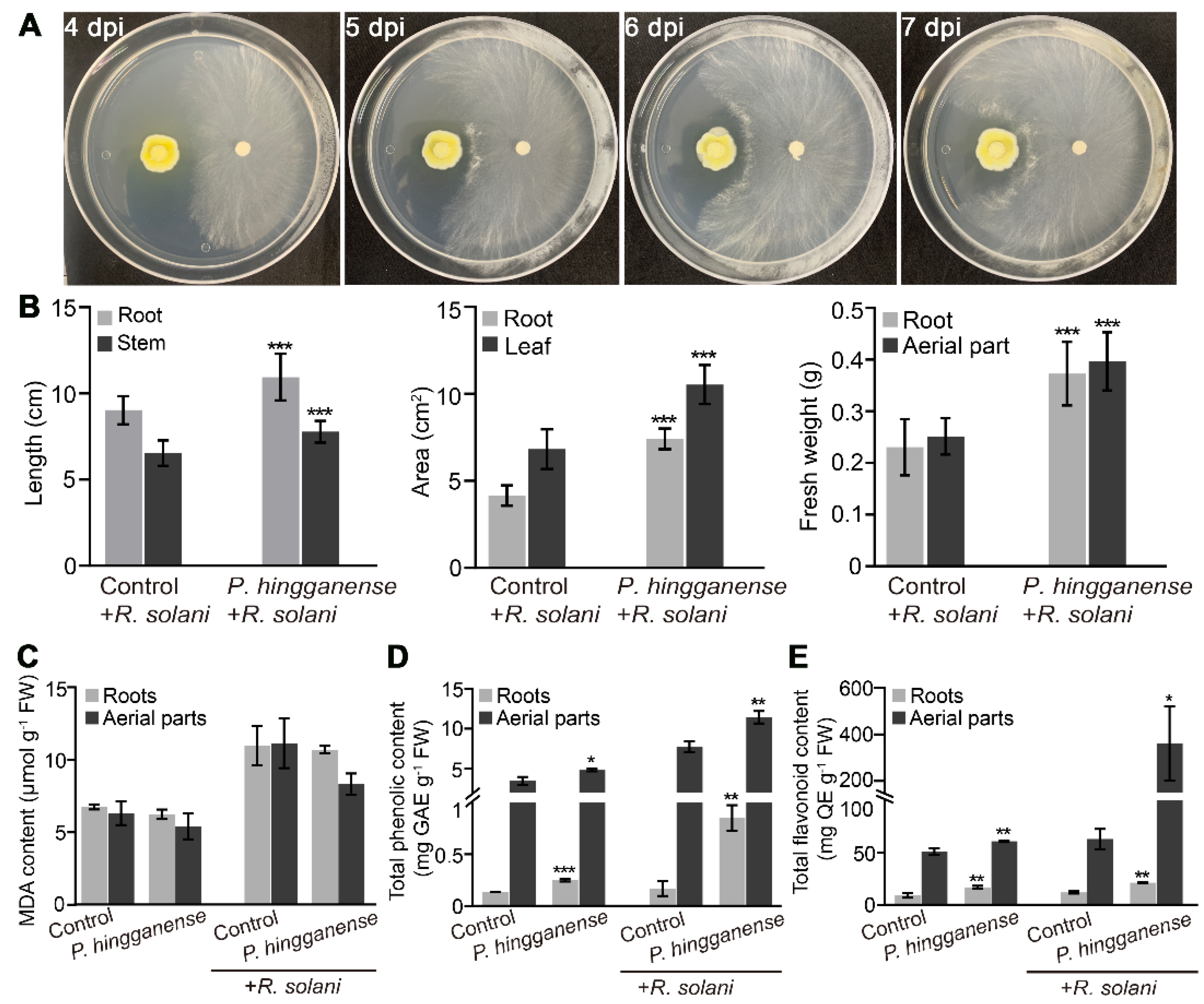 Jof 08 00934 g005 550