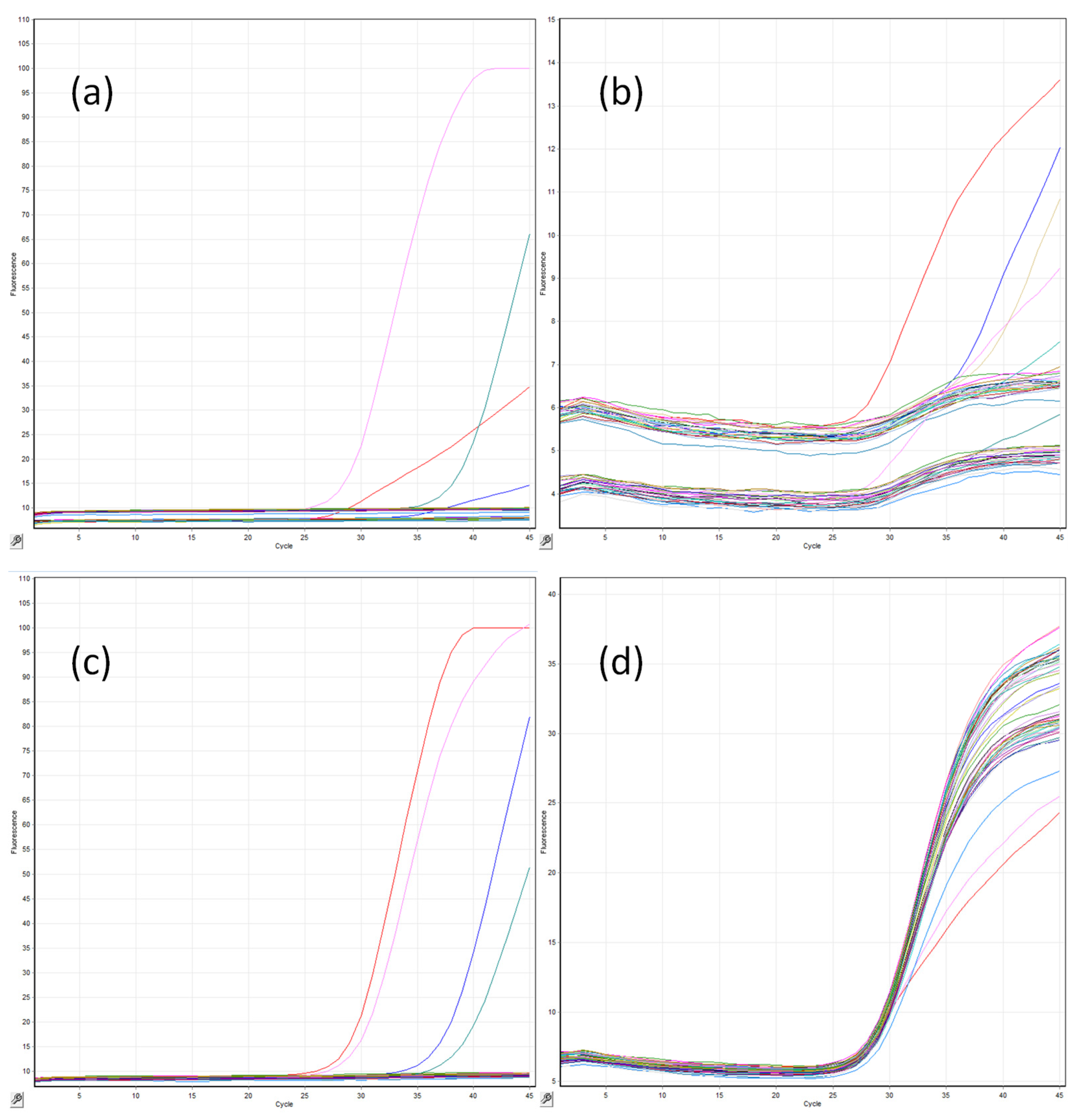 An Evaluation of the OLM CandID Real-Time PCR to Aid in the 