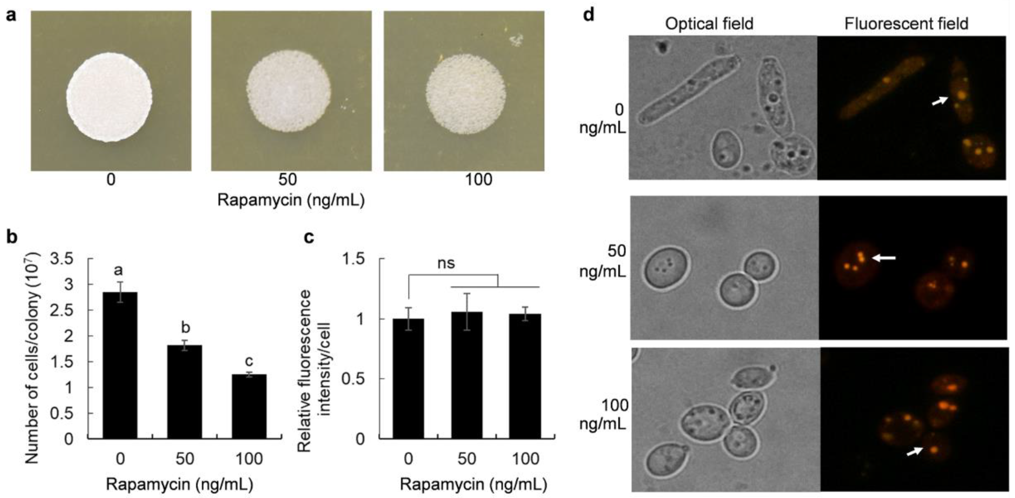 Jof 08 00939 g001 550
