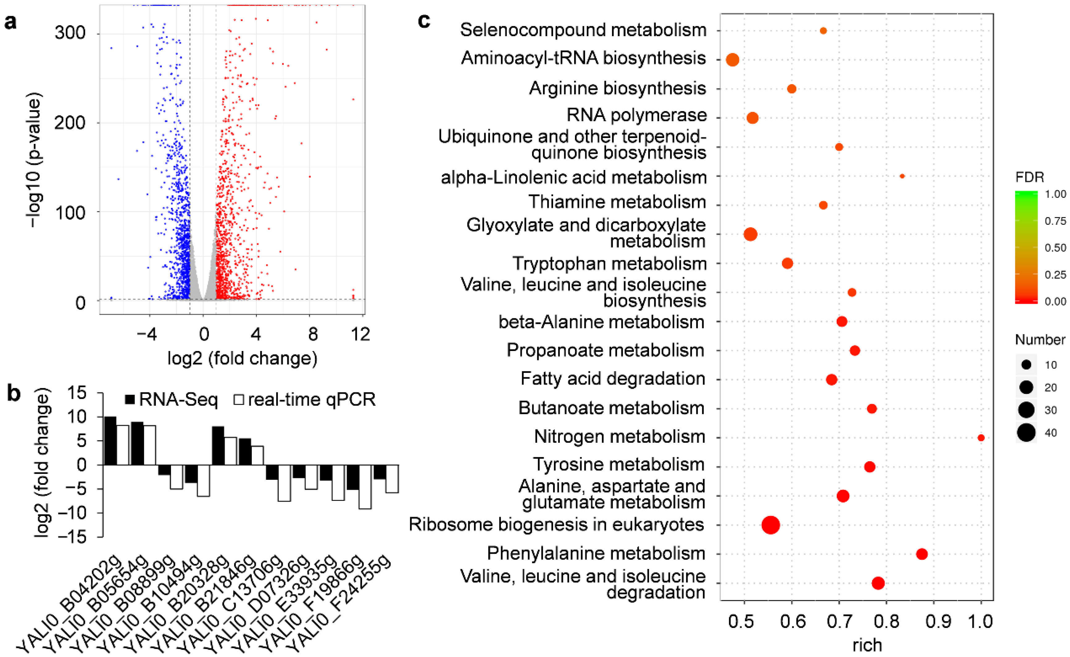 Jof 08 00939 g004 550