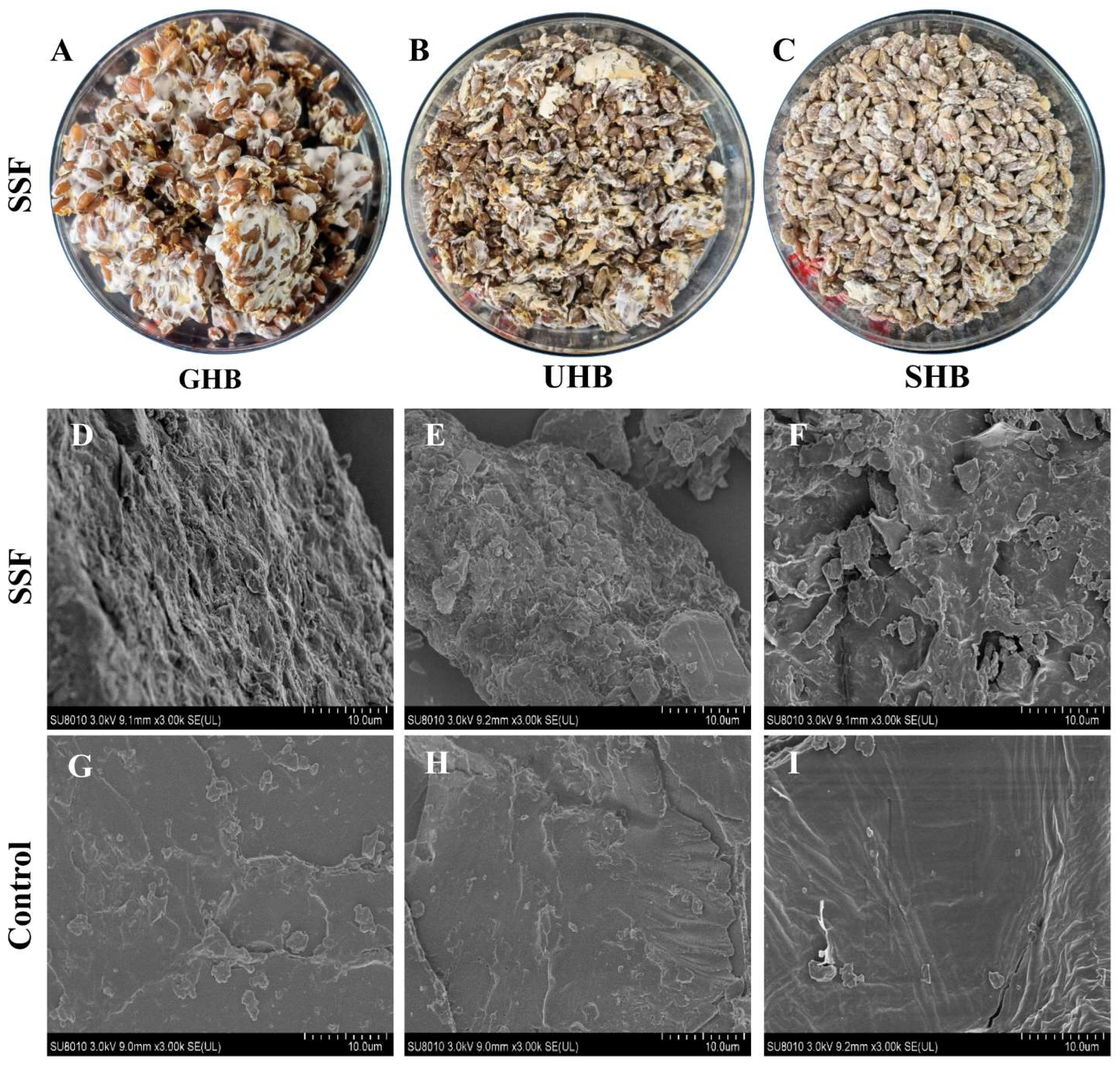 RVA profiles of different samples from four barley cultivars