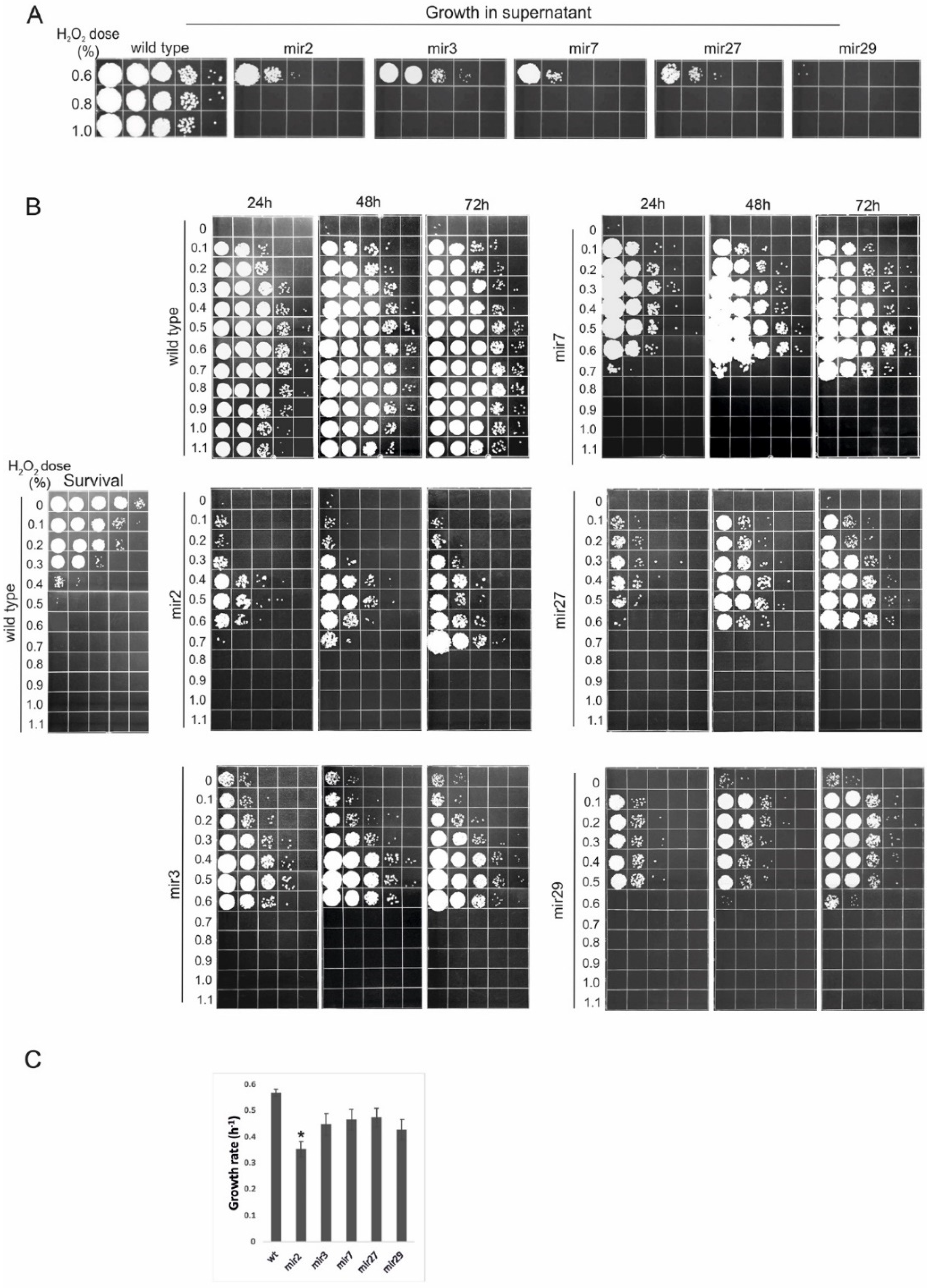 Jof 08 00957 g001 550