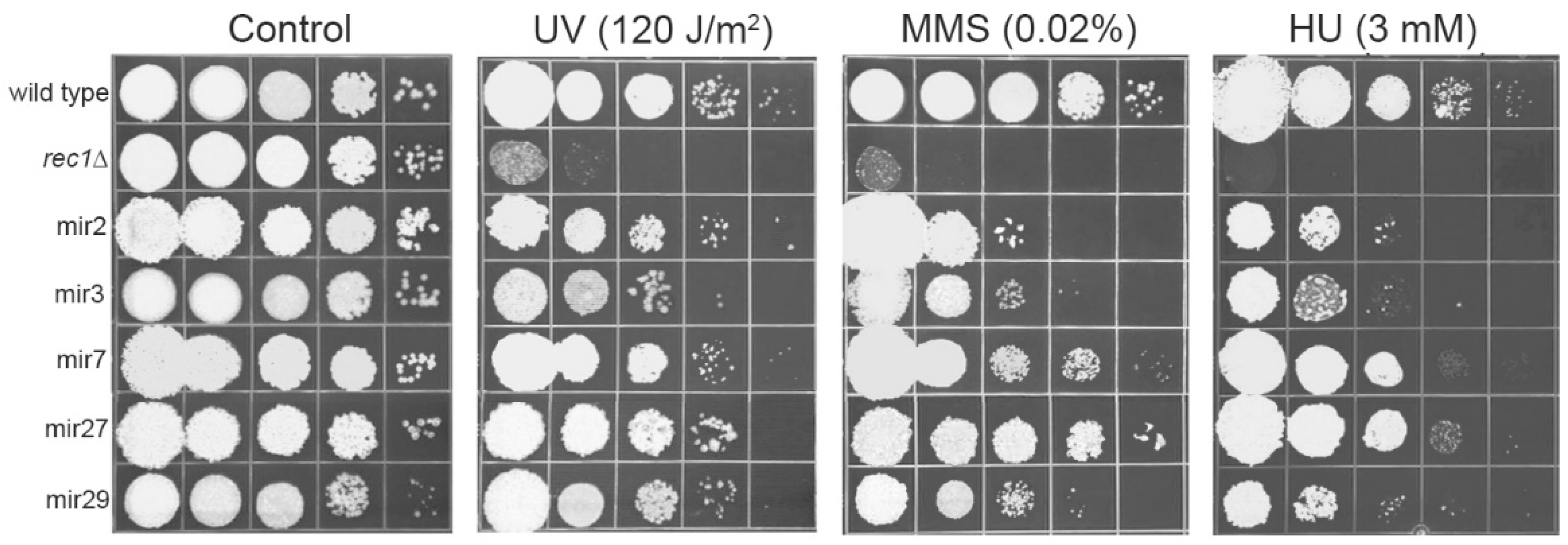Jof 08 00957 g002 550