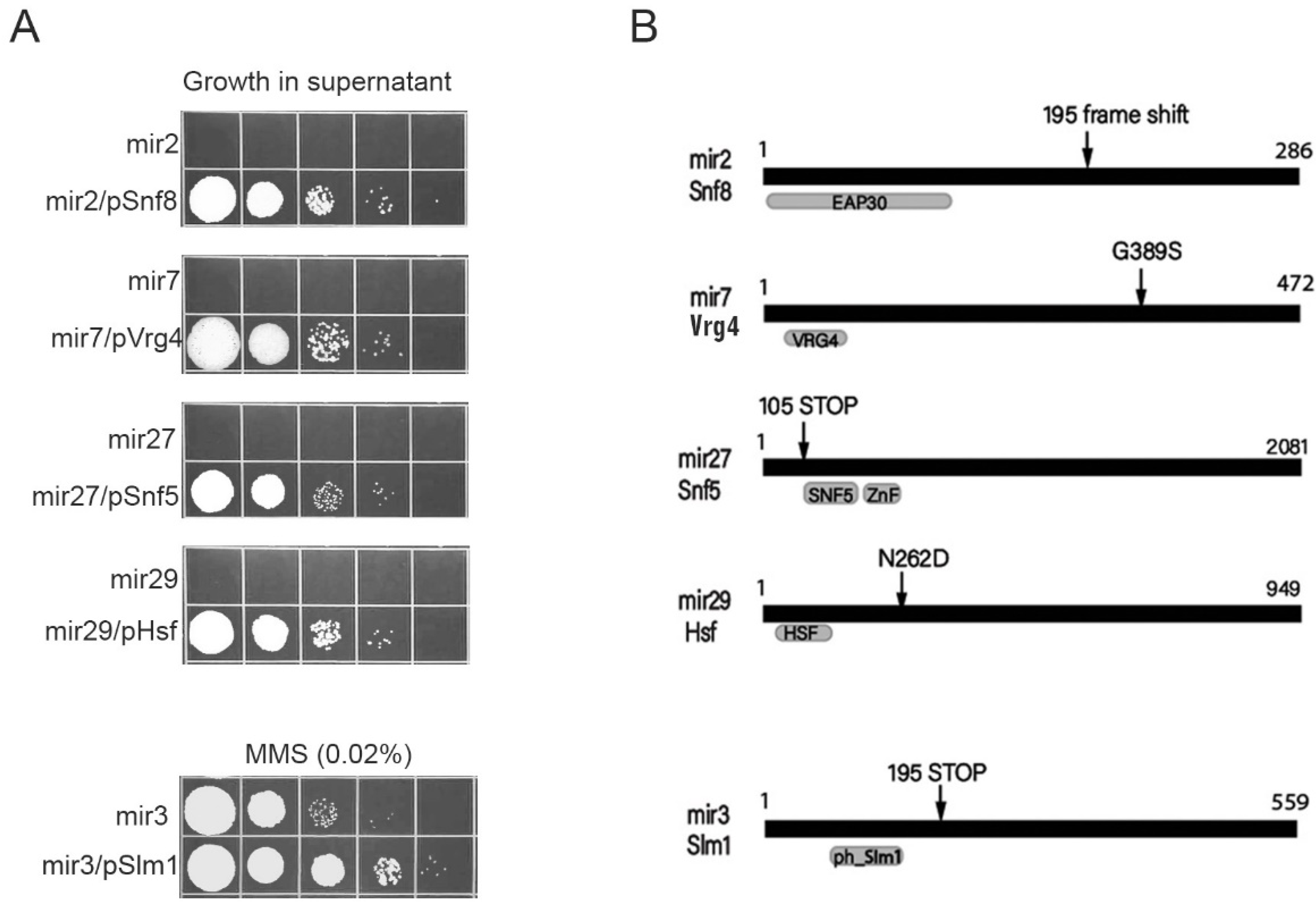 Jof 08 00957 g003 550