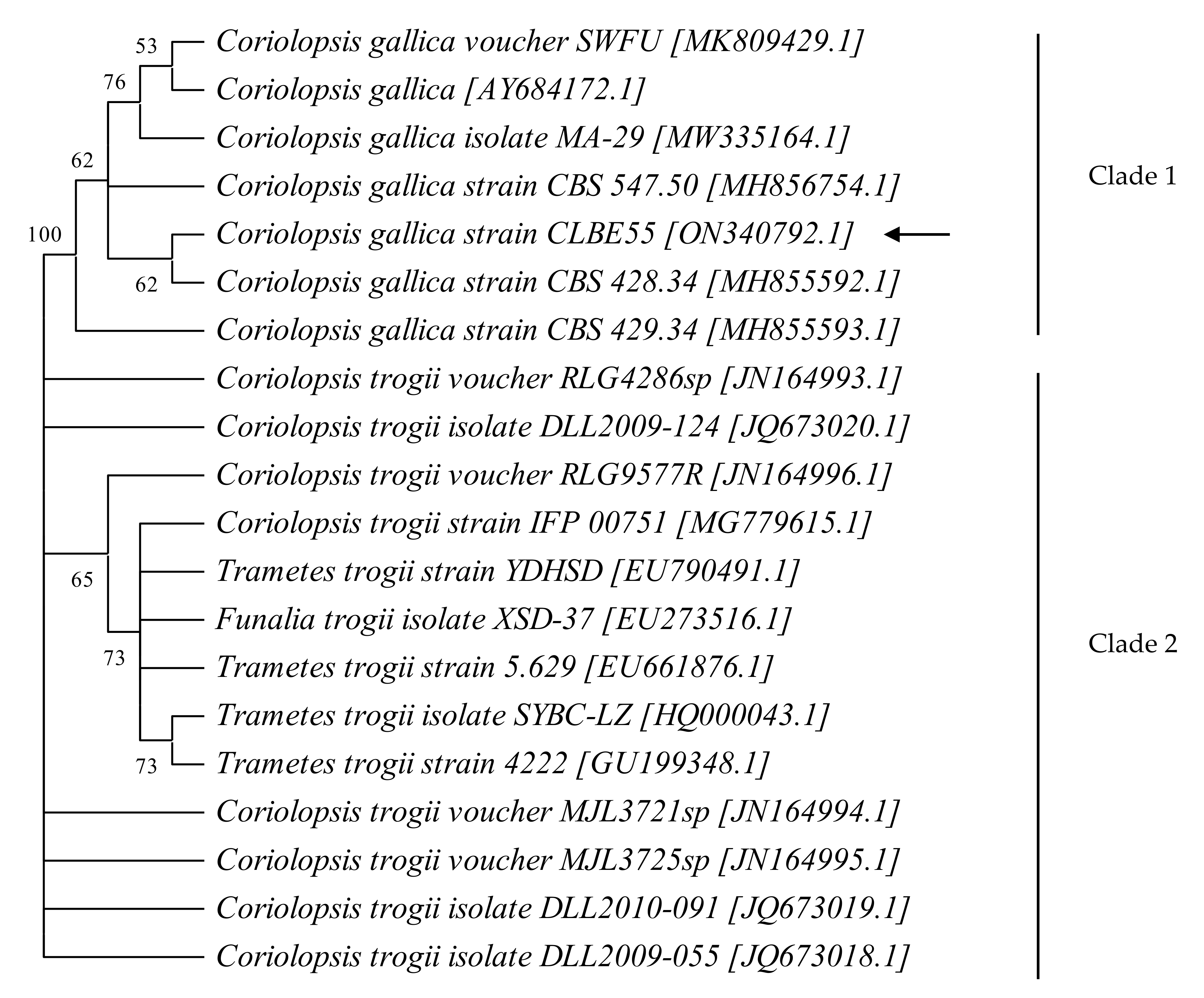 Jof 08 00965 g001 Jof 08 00965 g001