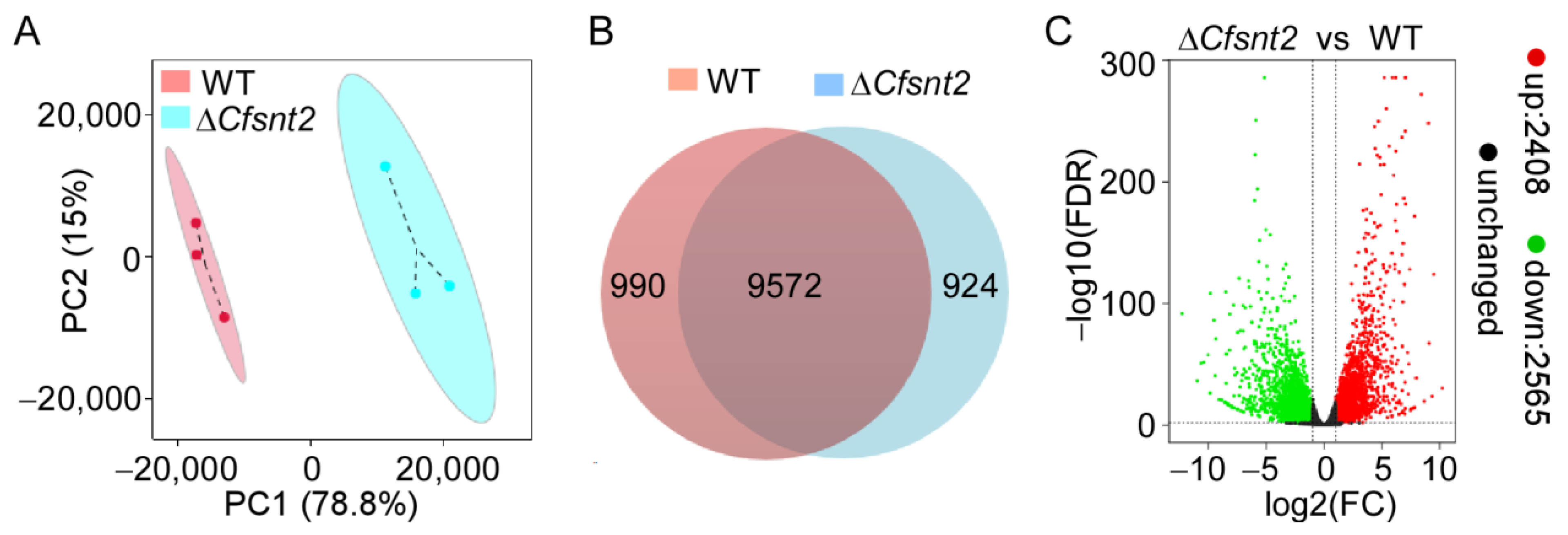 Jof 08 00974 g002 Jof 08 00974 g002