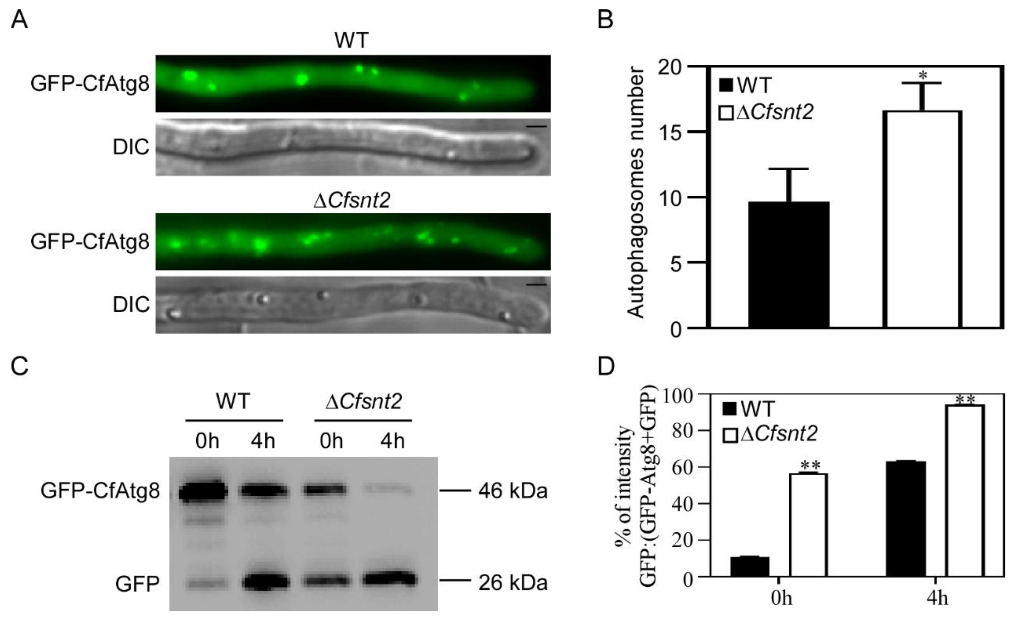 Jof 08 00974 g007 Jof 08 00974 g007