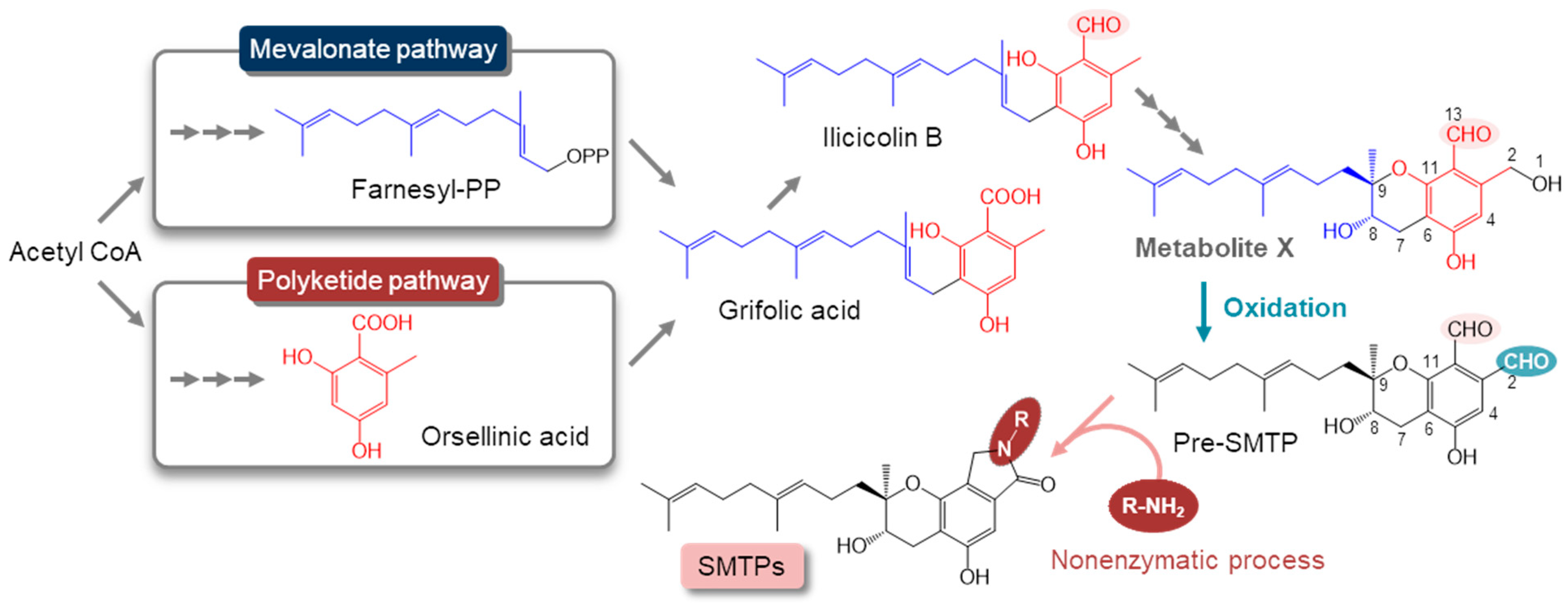 Jof 08 00975 g001 550