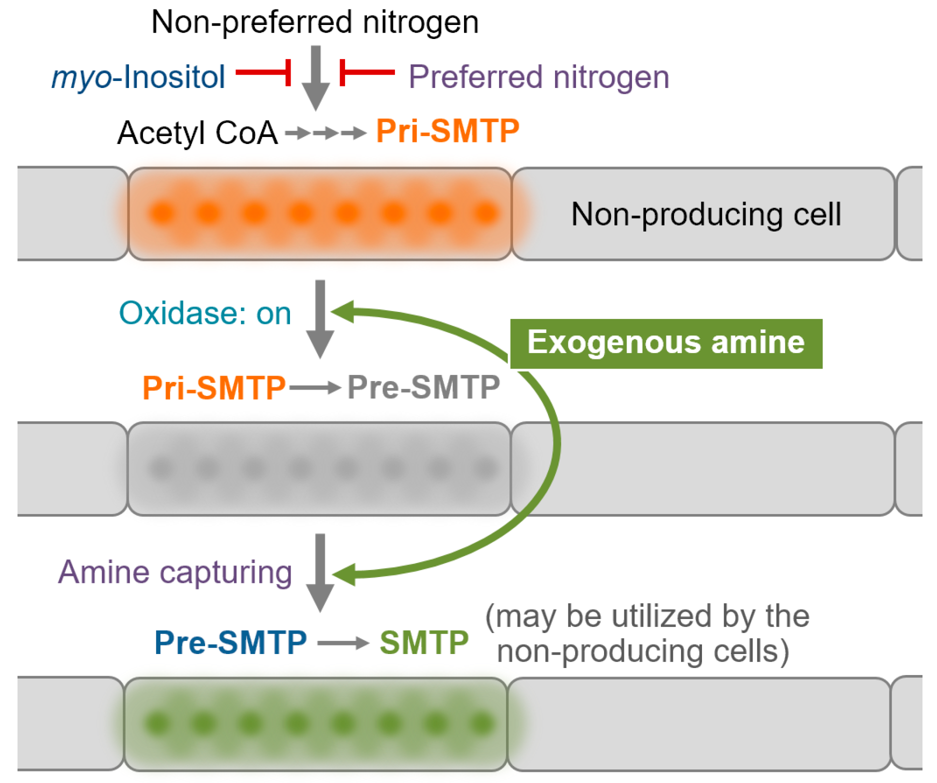 Jof 08 00975 g008 550