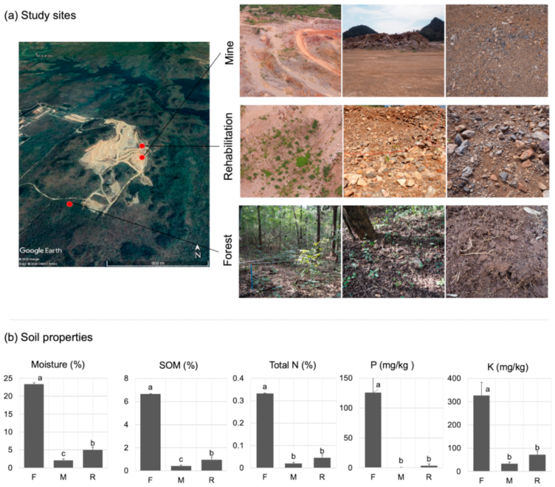 Jof 08 00987 g001 Jof 08 00987 g001