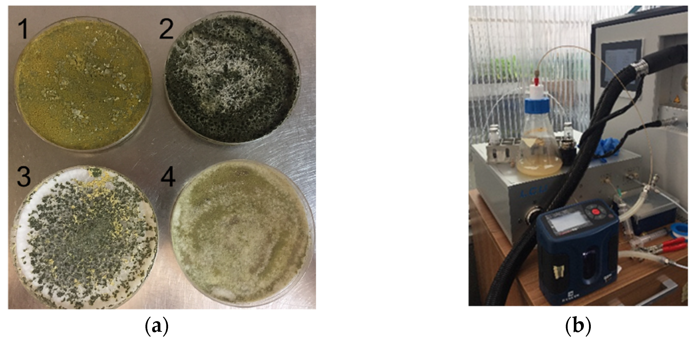 Jof 08 00989 g001 Jof 08 00989 g001