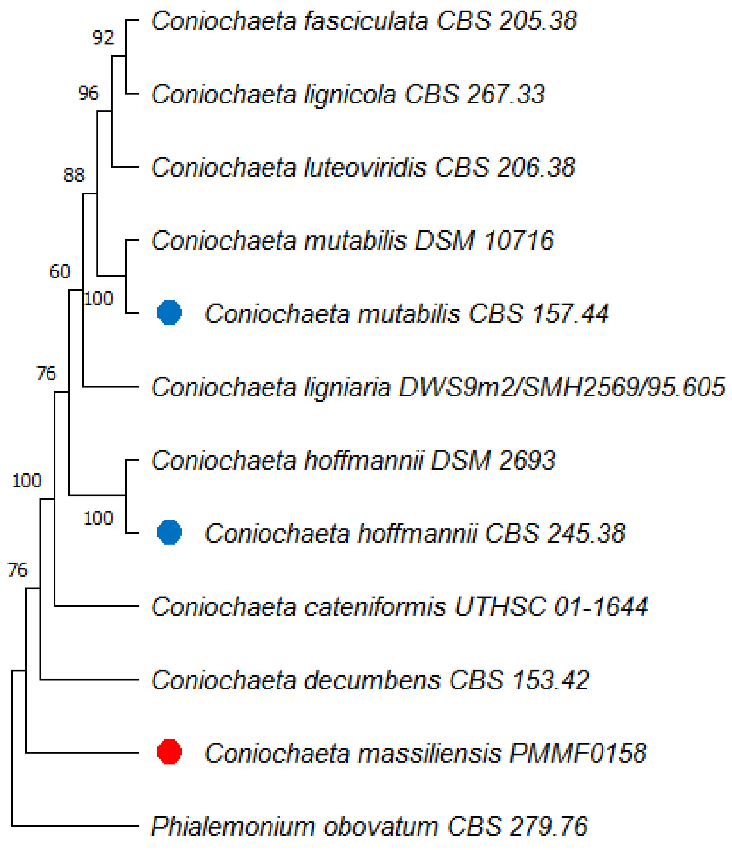 Jof 08 00999 g006 Jof 08 00999 g006