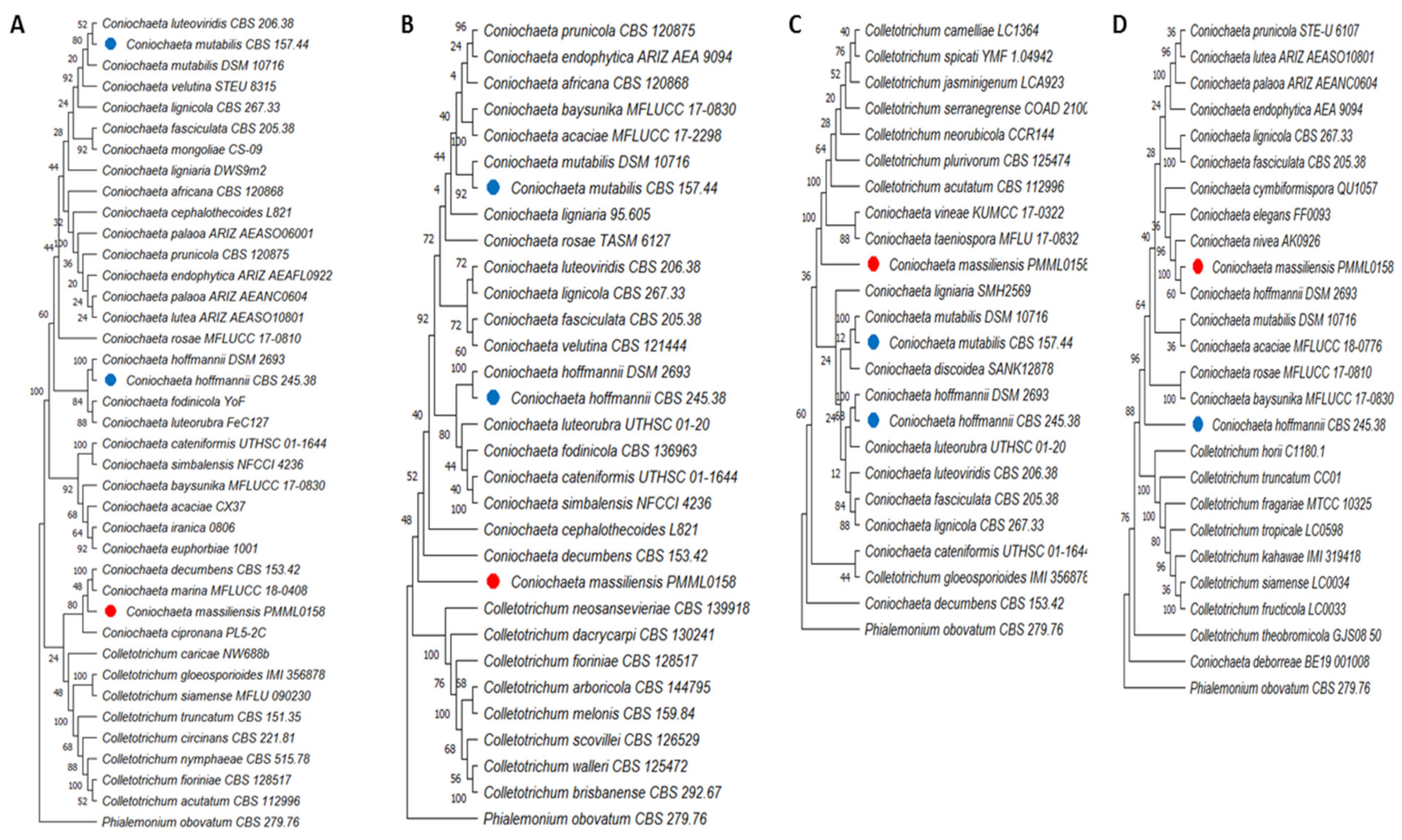 Jof 08 00999 g007 Jof 08 00999 g007