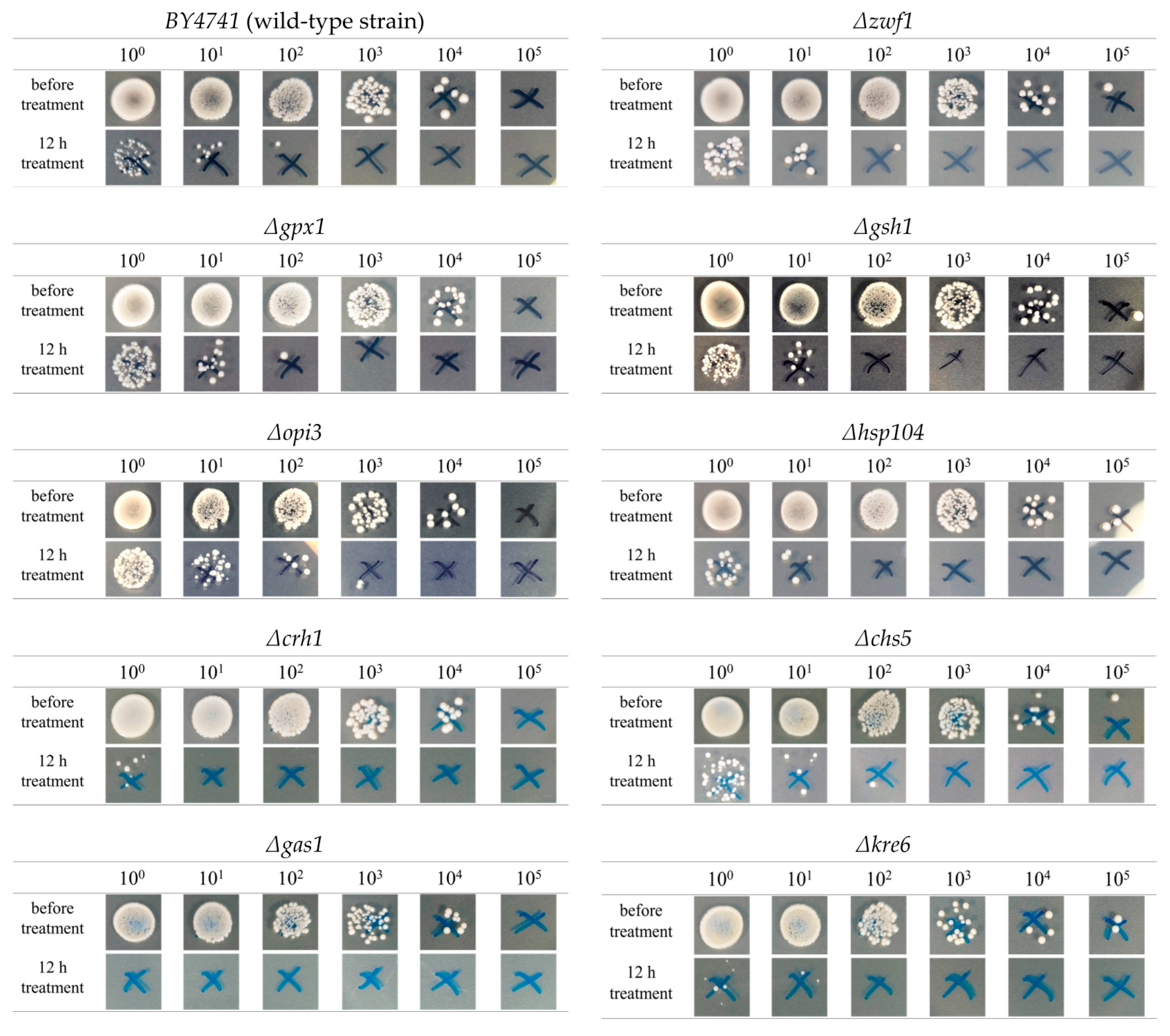 Jof 08 01011 g003 Jof 08 01011 g003