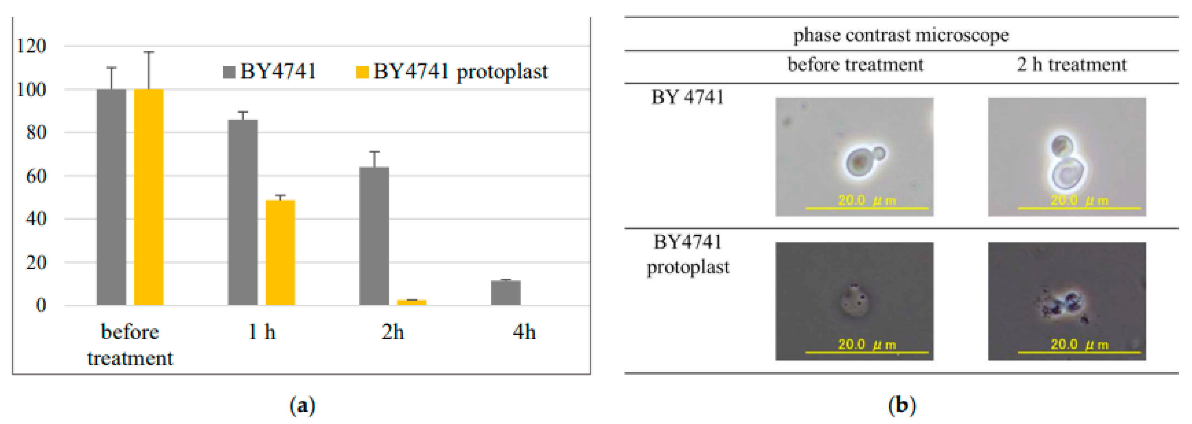 Jof 08 01011 g004 Jof 08 01011 g004