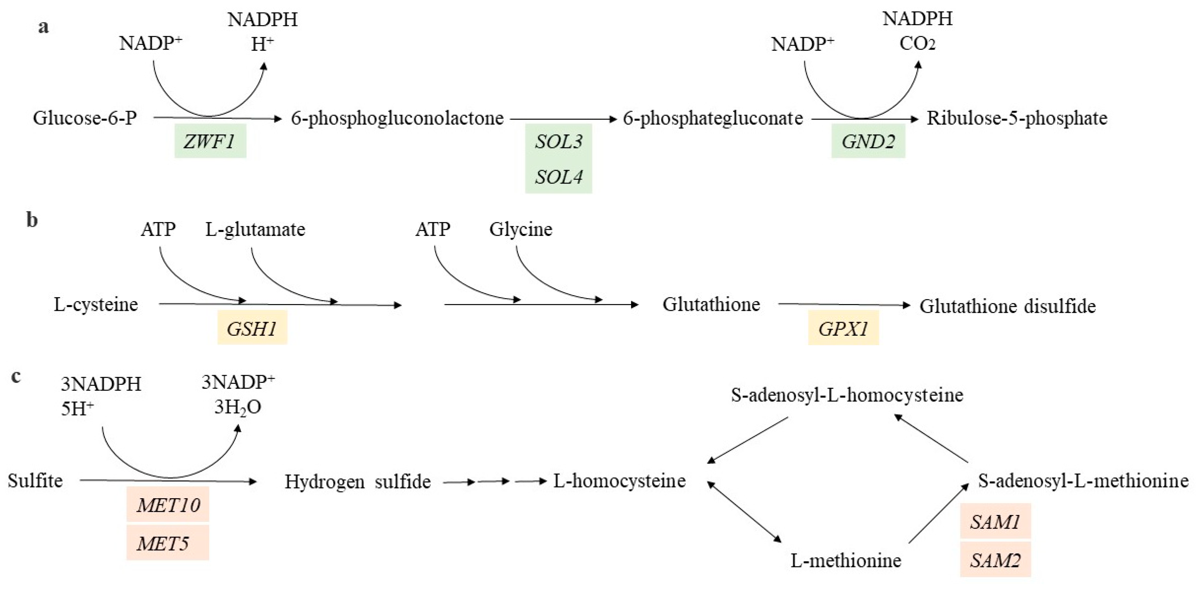 Jof 08 01011 g005a Jof 08 01011 g005a