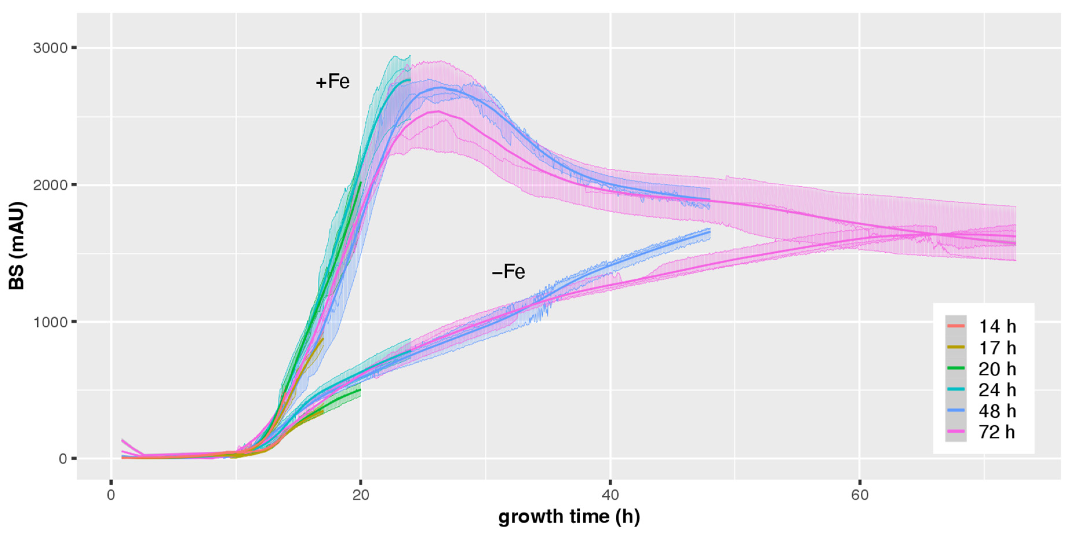 Jof 08 01013 g002 Jof 08 01013 g002