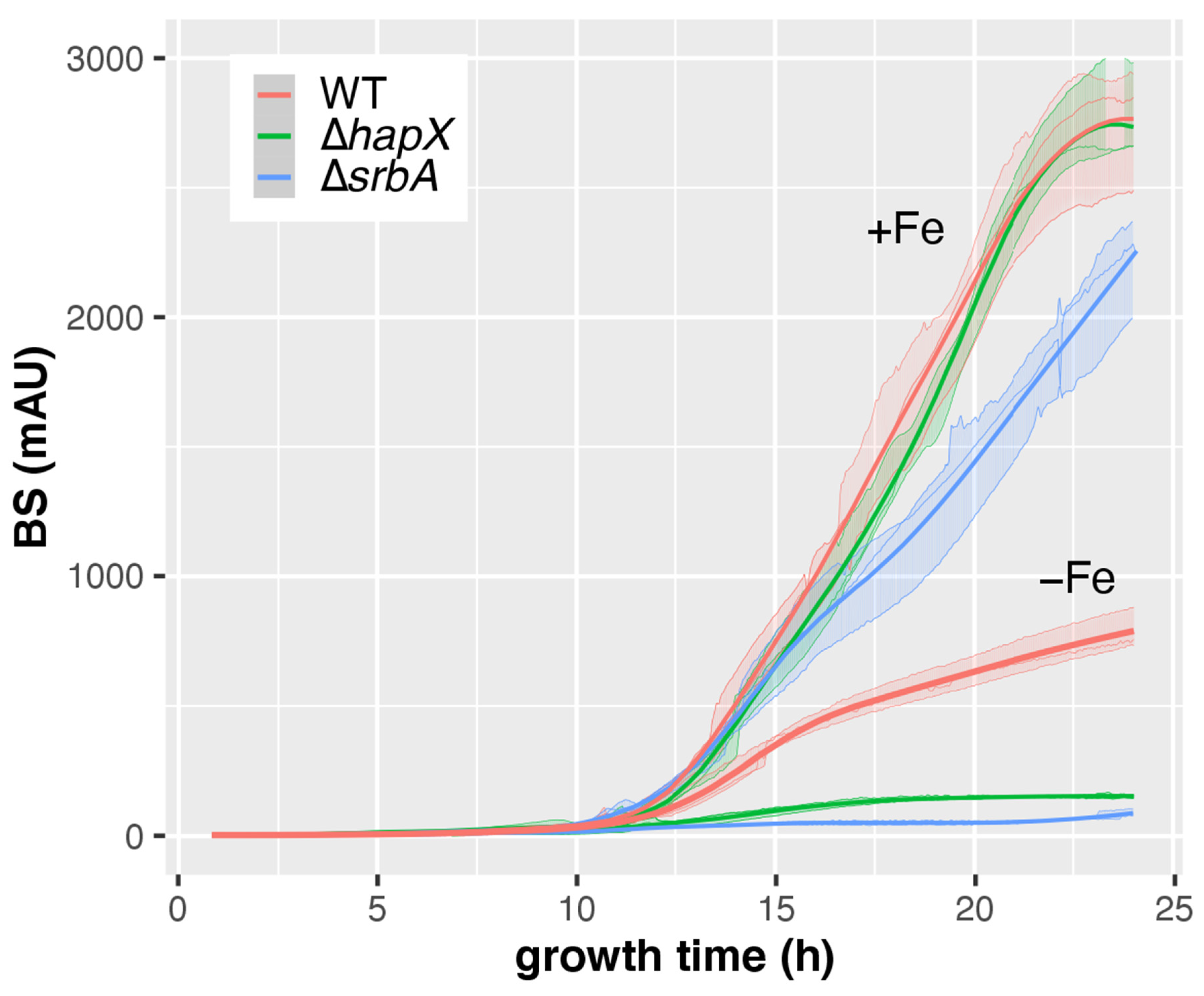 Jof 08 01013 g008 Jof 08 01013 g008