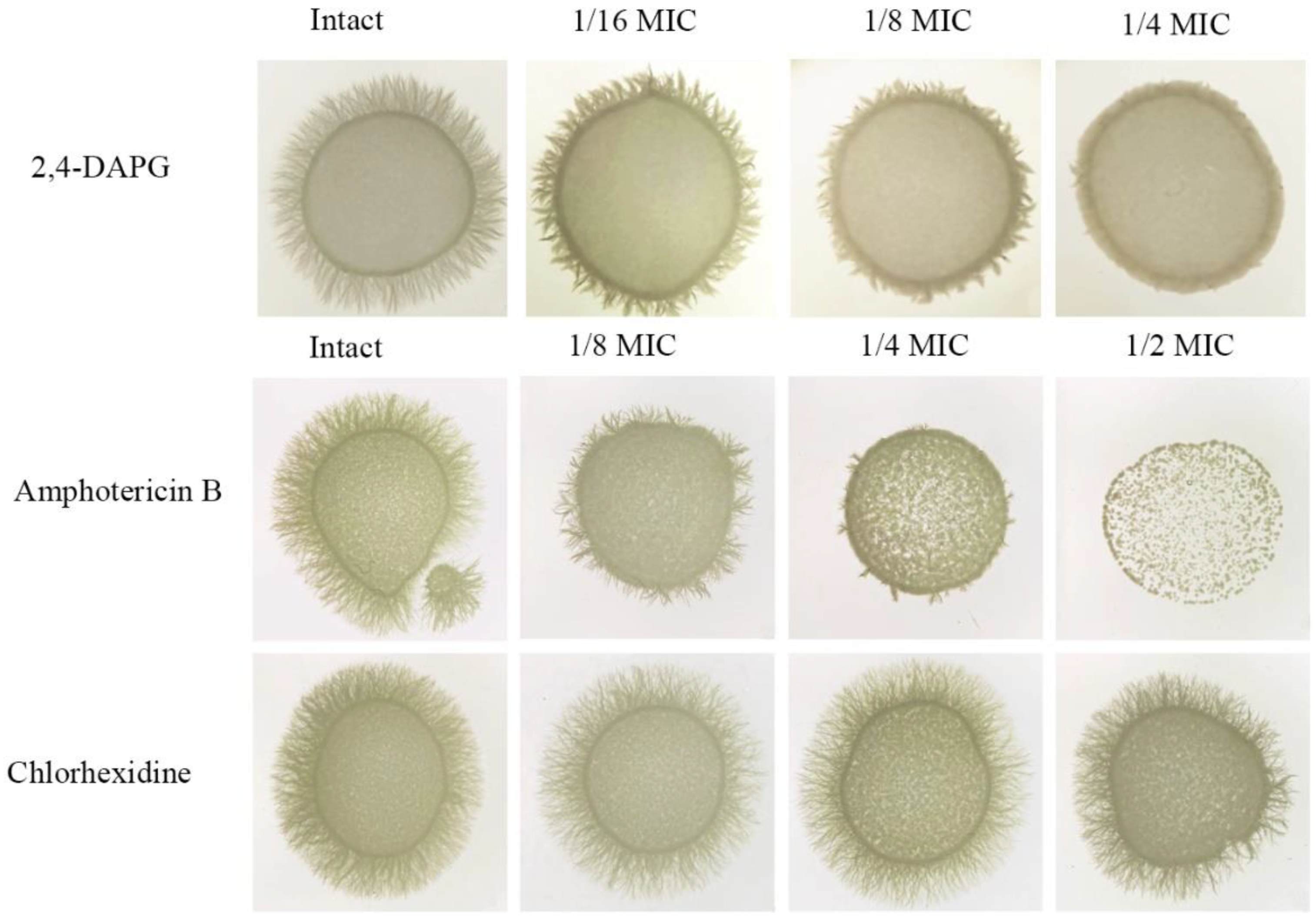 Jof 08 01018 g006 Jof 08 01018 g006