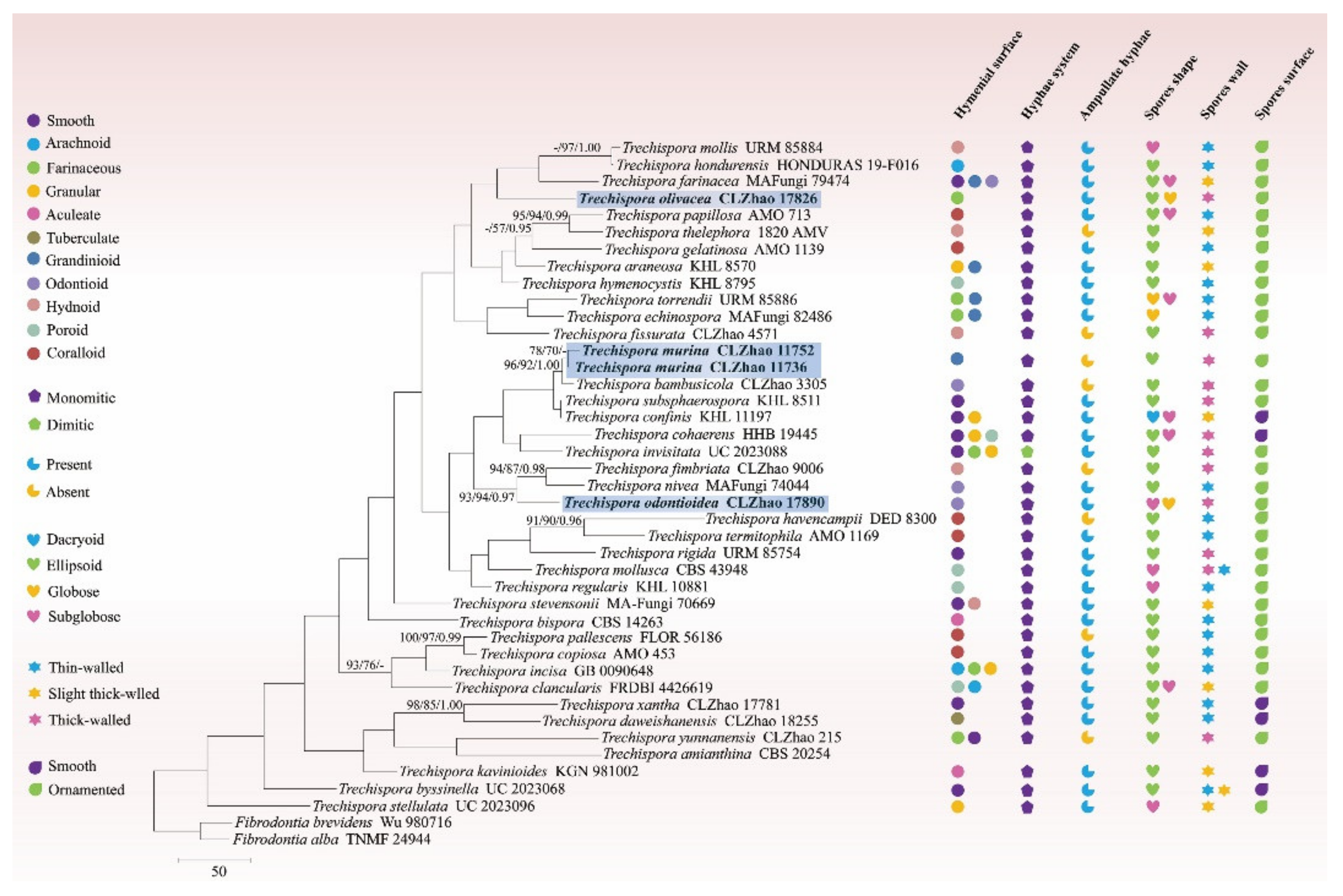 Jof 08 01020 g002 Jof 08 01020 g002