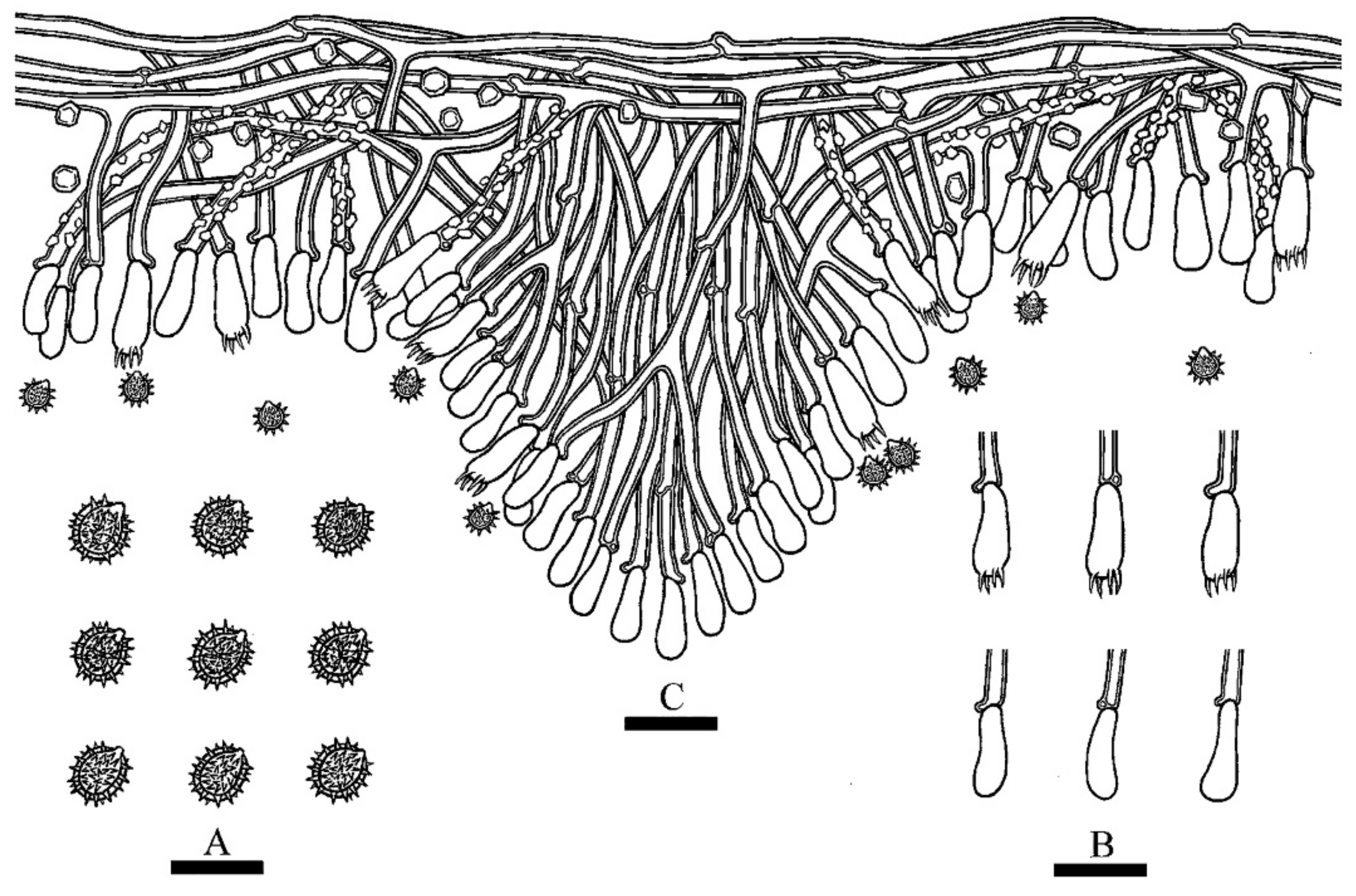 Jof 08 01020 g004 Jof 08 01020 g004