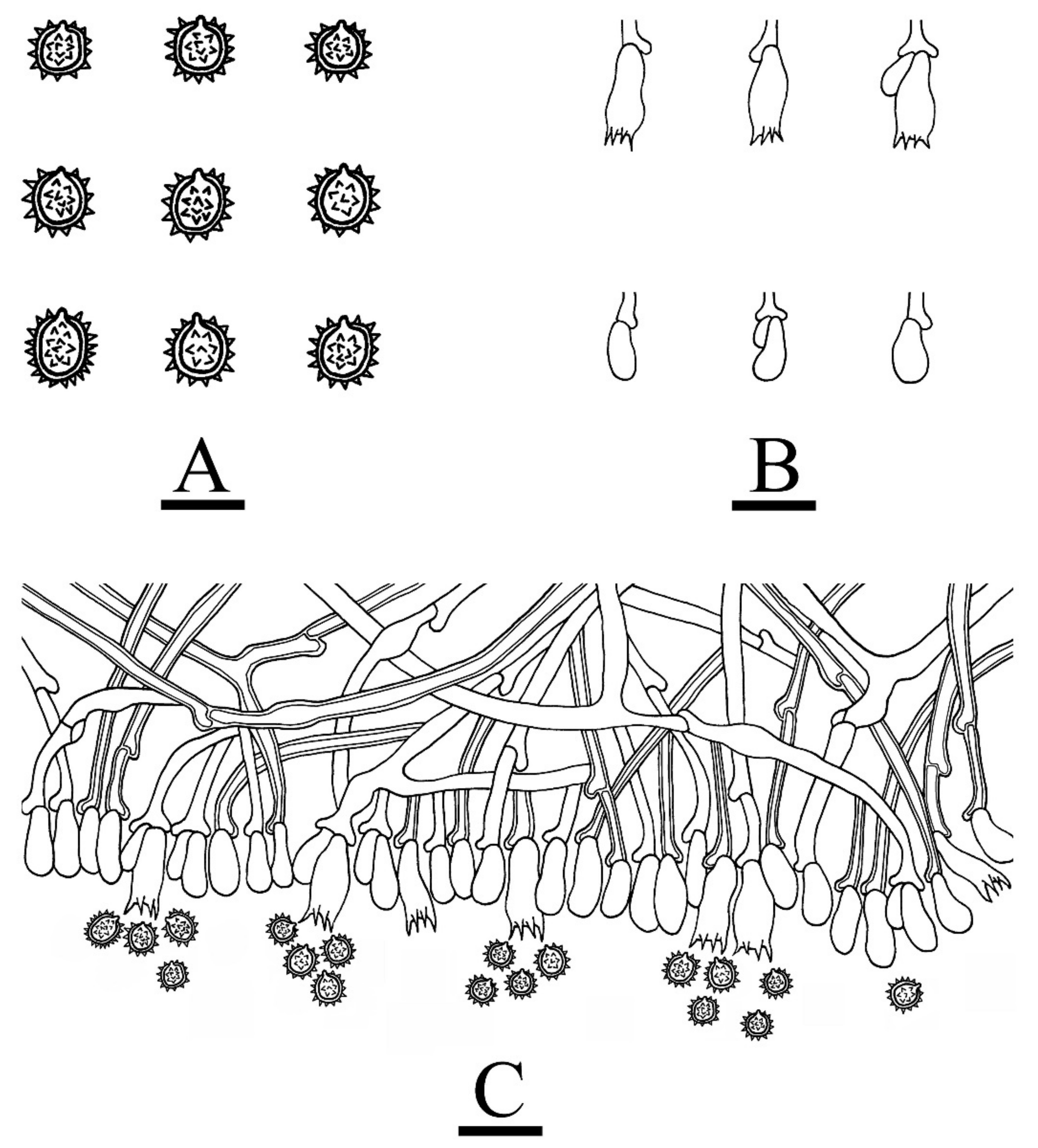 Jof 08 01020 g008 Jof 08 01020 g008