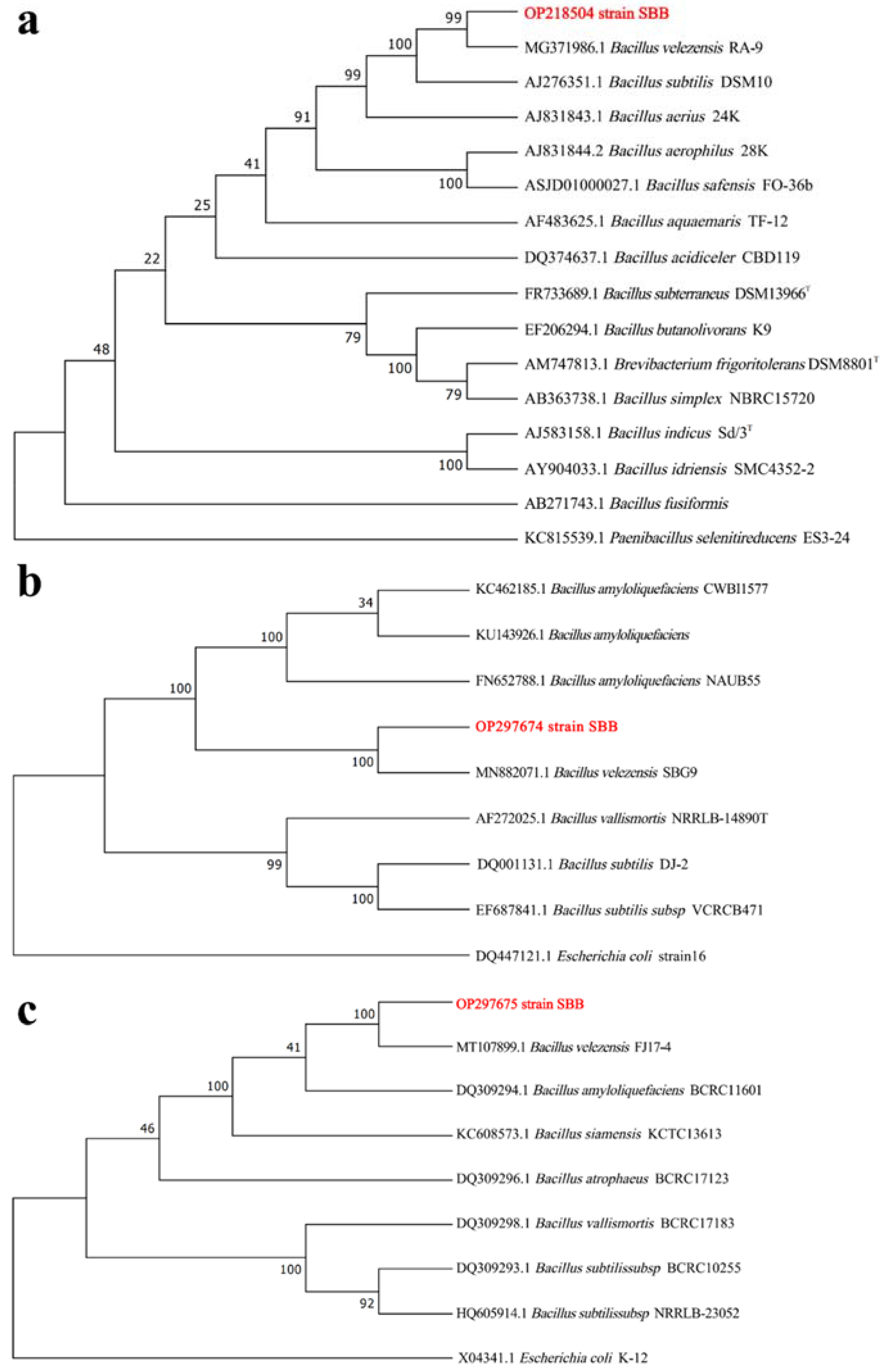 Jof 08 01021 g001 Jof 08 01021 g001