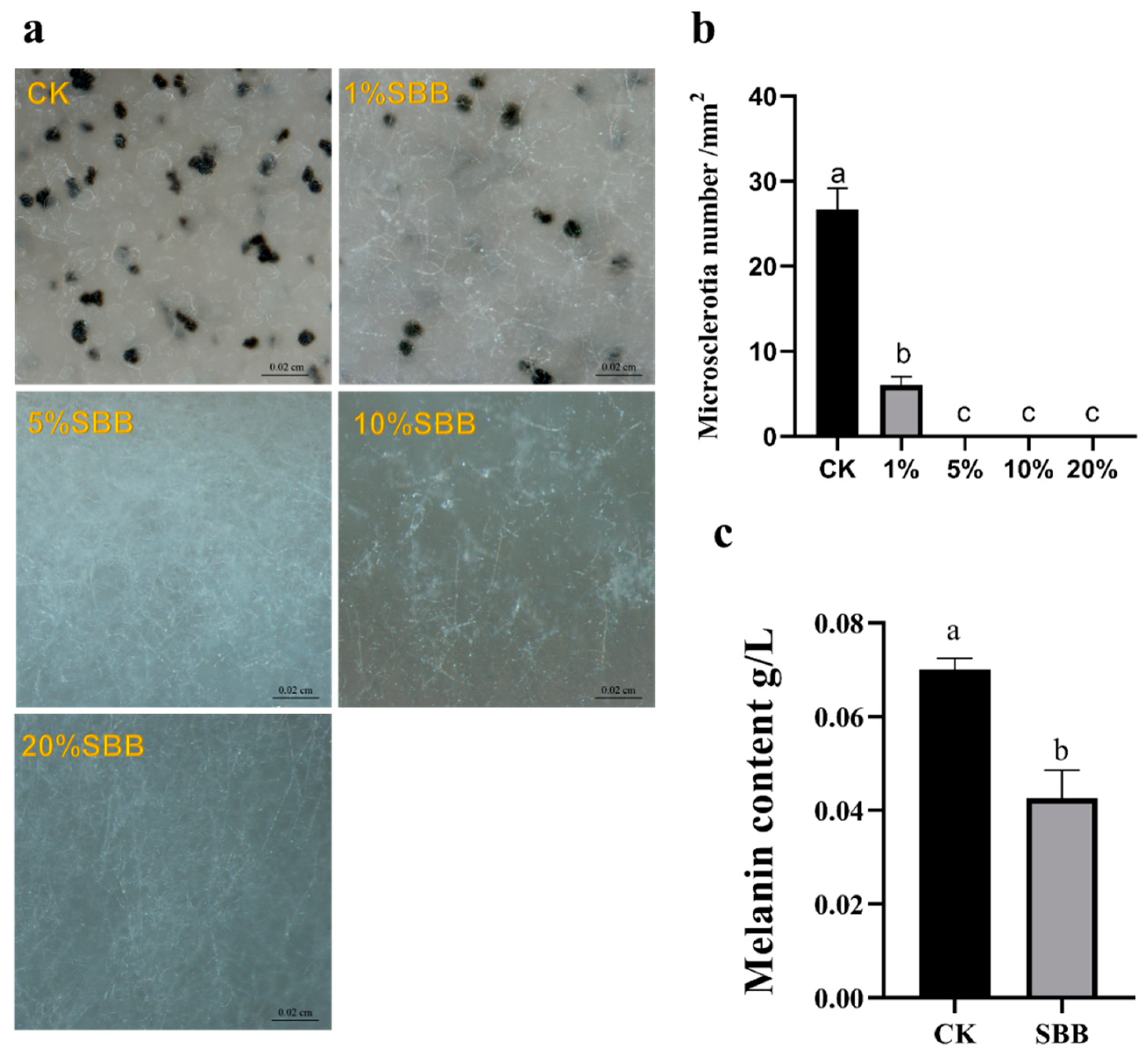 Jof 08 01021 g004 Jof 08 01021 g004