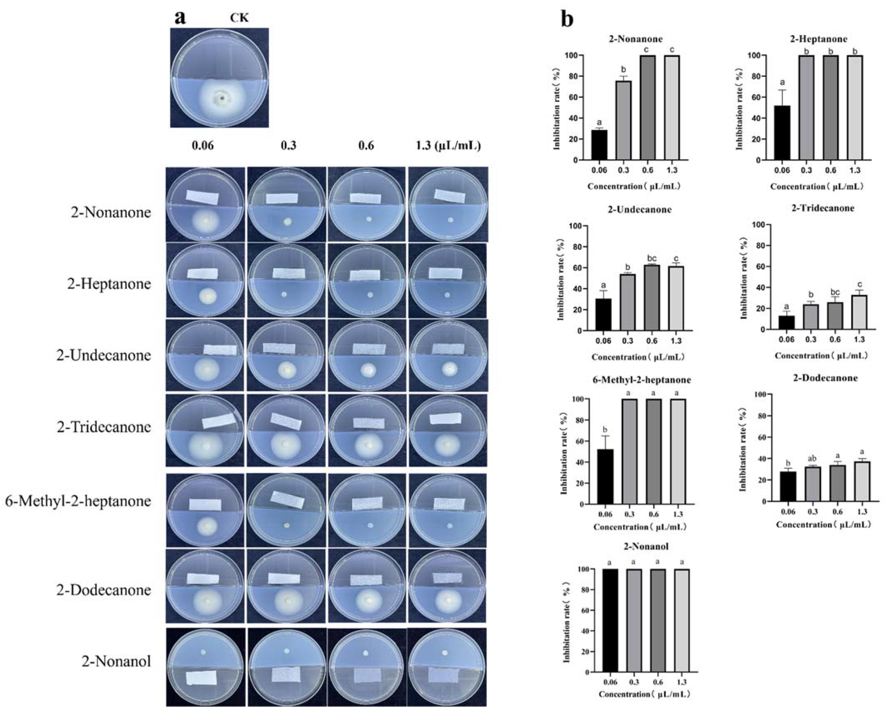 Jof 08 01021 g008 Jof 08 01021 g008