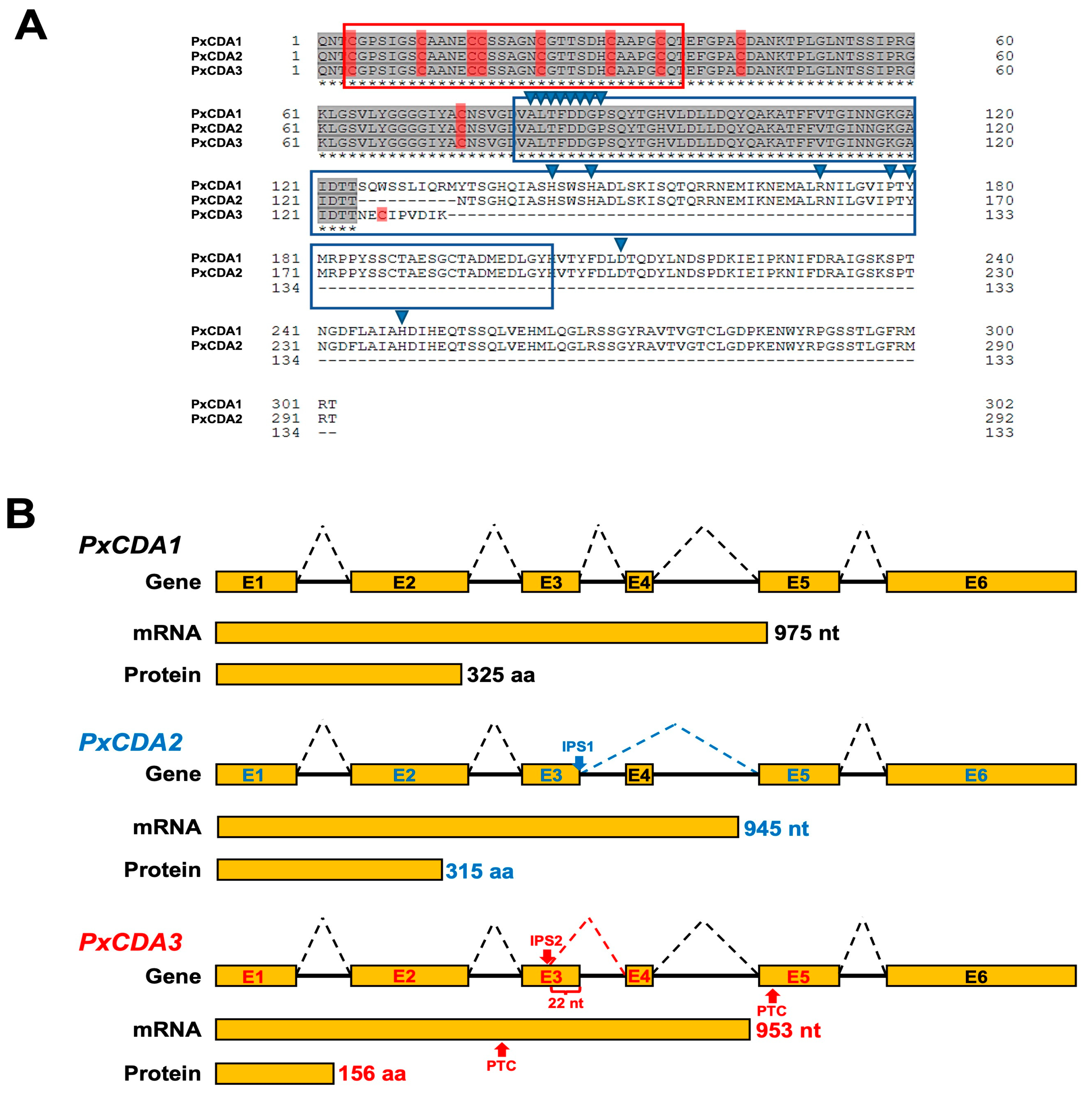 Jof 08 01022 g001 Jof 08 01022 g001