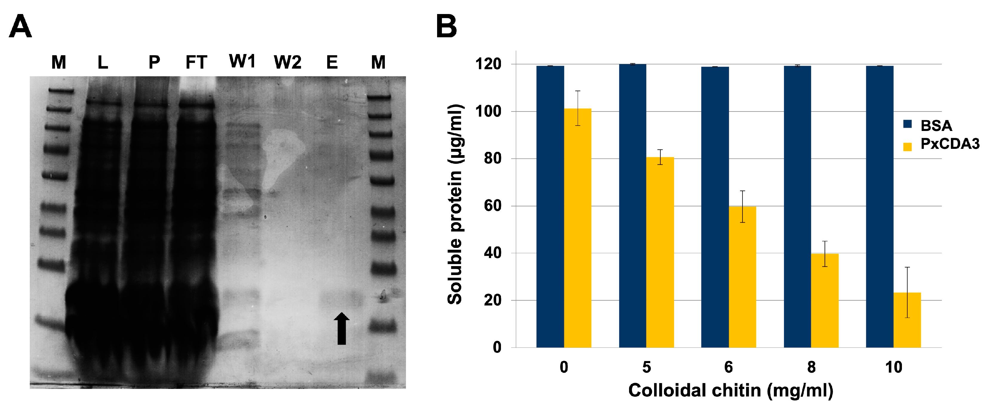 Jof 08 01022 g002 Jof 08 01022 g002