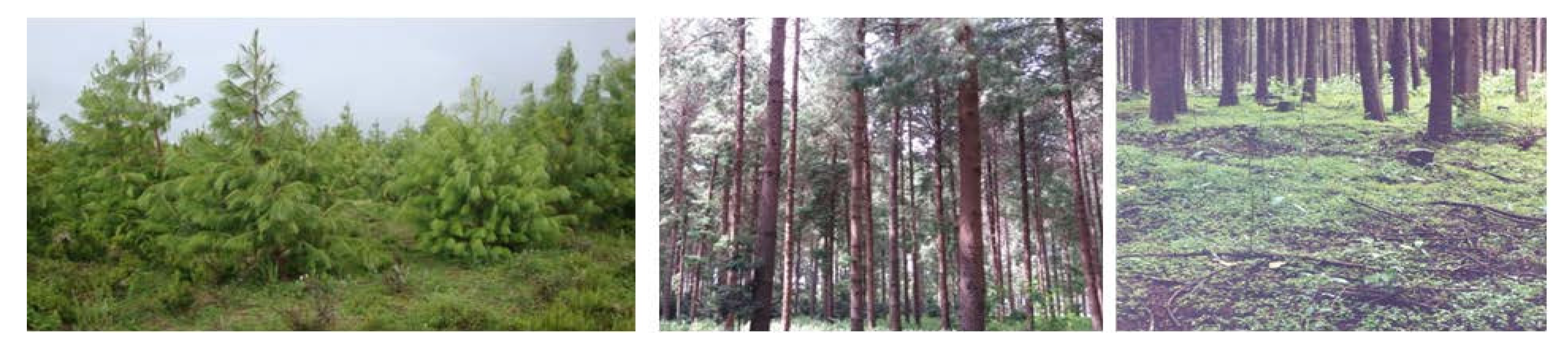 Jof 08 01023 g002 Jof 08 01023 g002